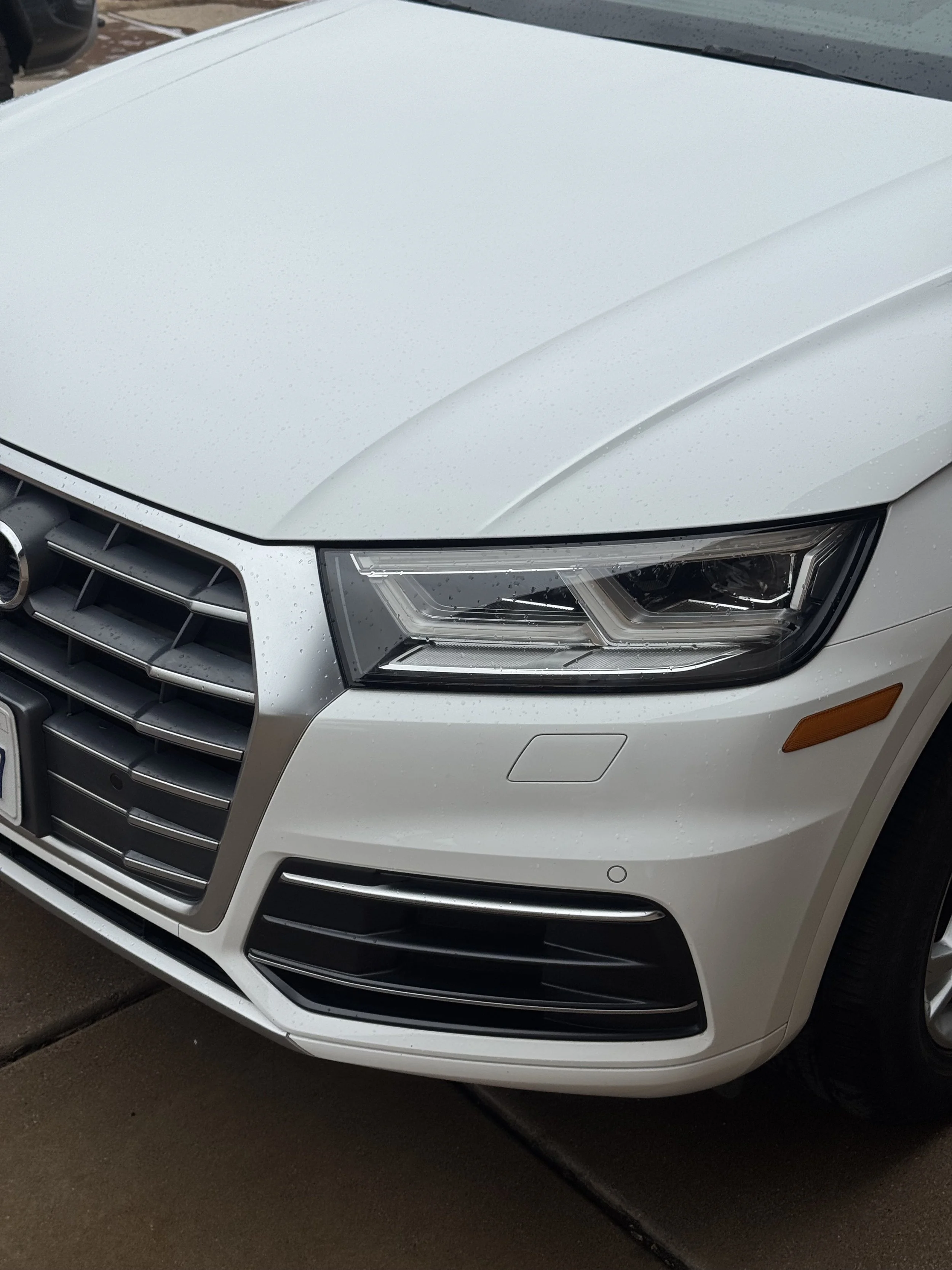 Close-up of the front of a white Audi car showing the headlight, grille, and part of the hood with raindrops.