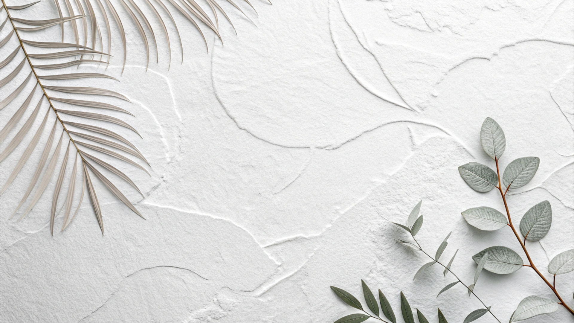 Dry palm and eucalyptus leaves arranged on a textured white surface