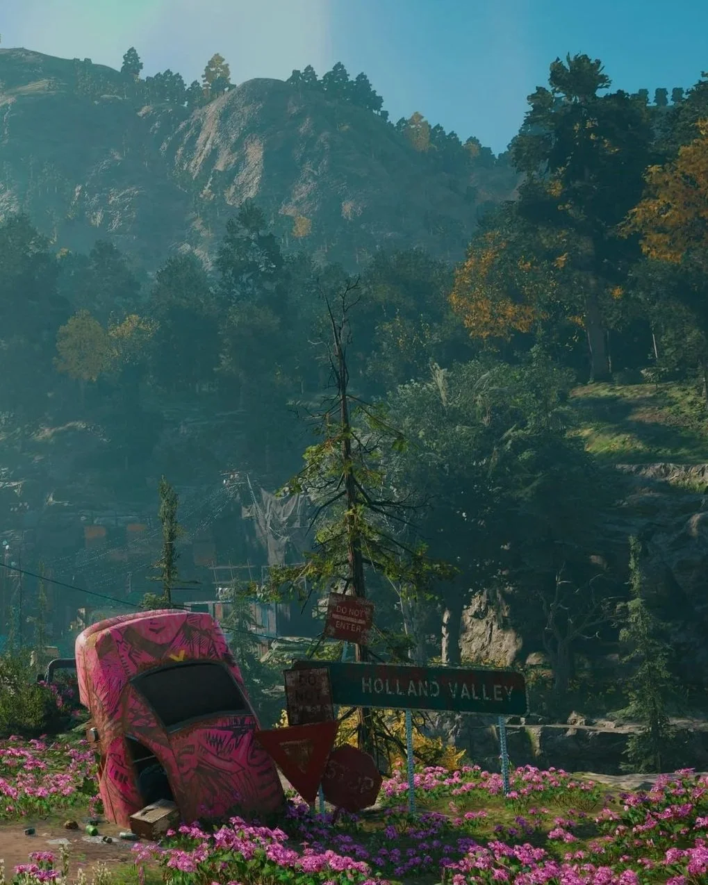FAR CRY:       NEW DAWN