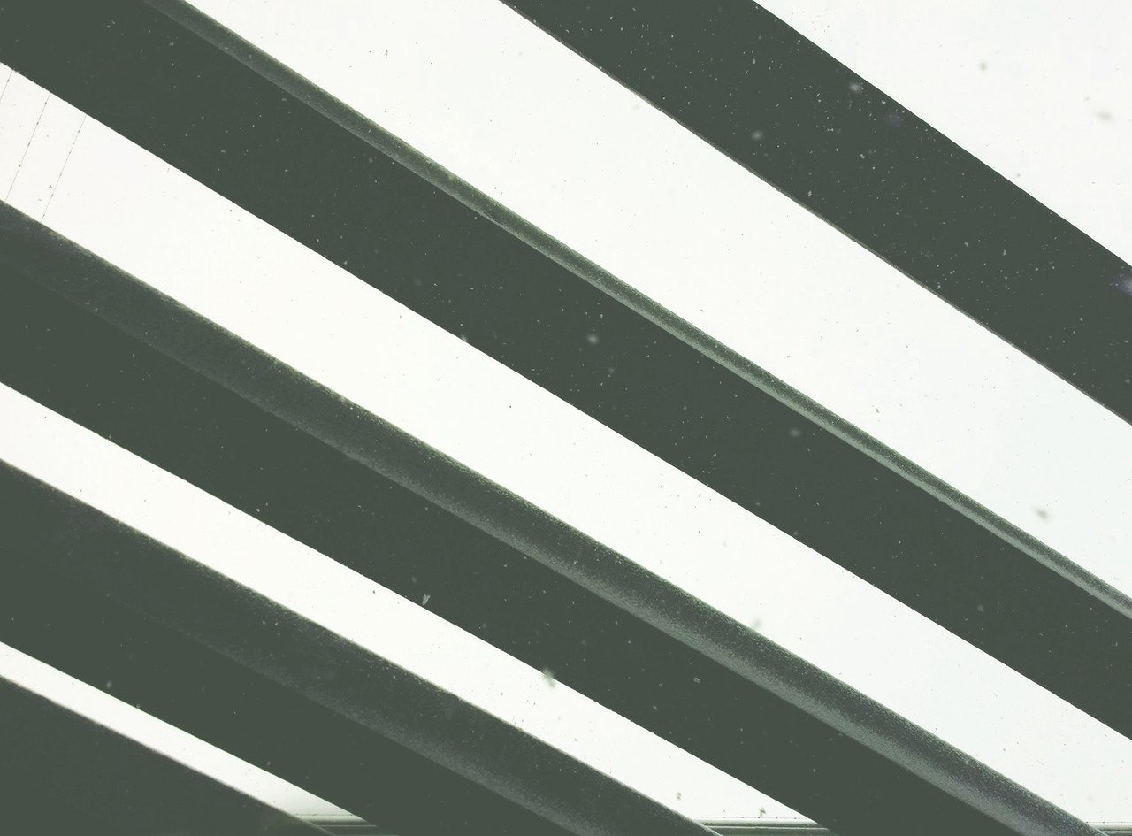 tumblr_nirlkf7Bf71swpqt3o2_r1_1280 (1).jpg