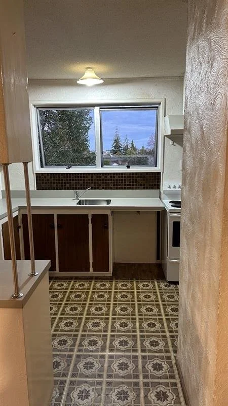 Image - 2026-02-05T124948.439.jpg