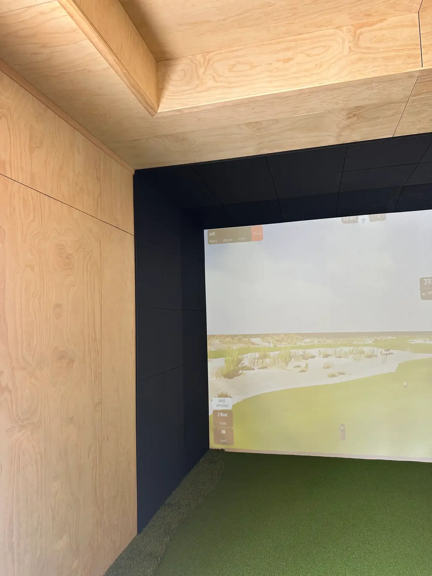 Golf Simulator_AKL_sml_10webp.webp