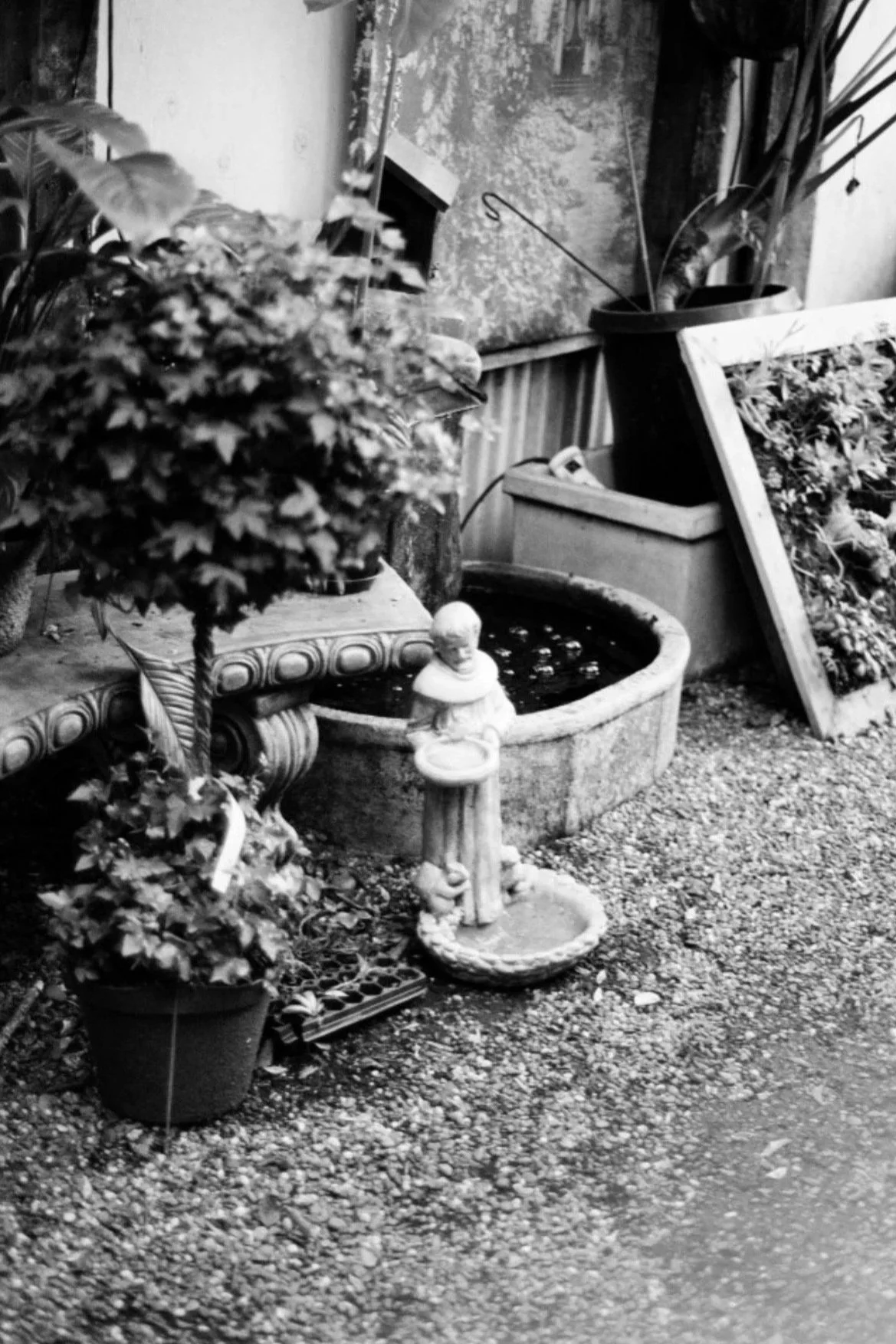 Saint Francis (2026)