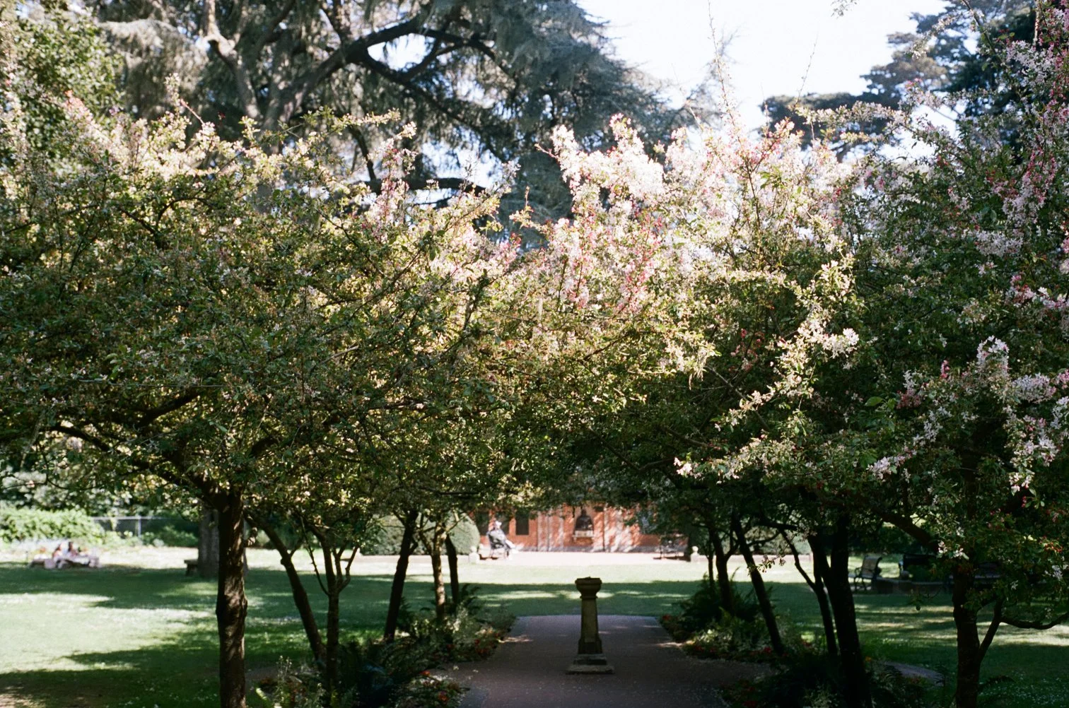 Shakespeare Garden (2021)