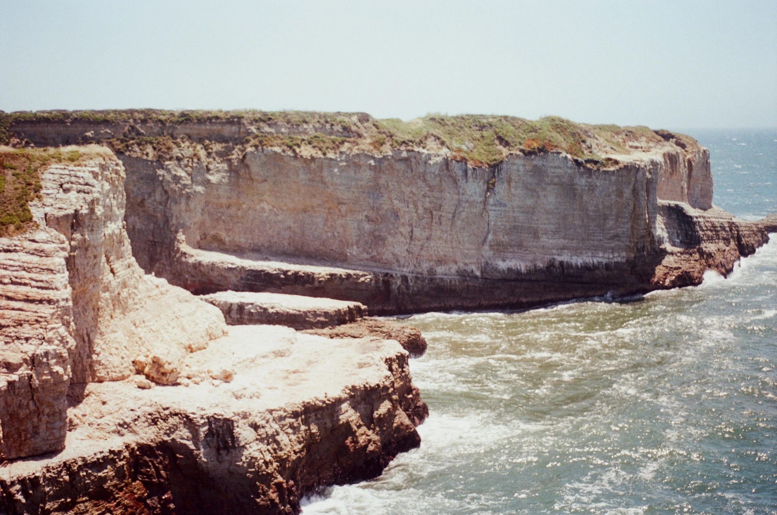 Shark Fin Cove Cliffside (2026)