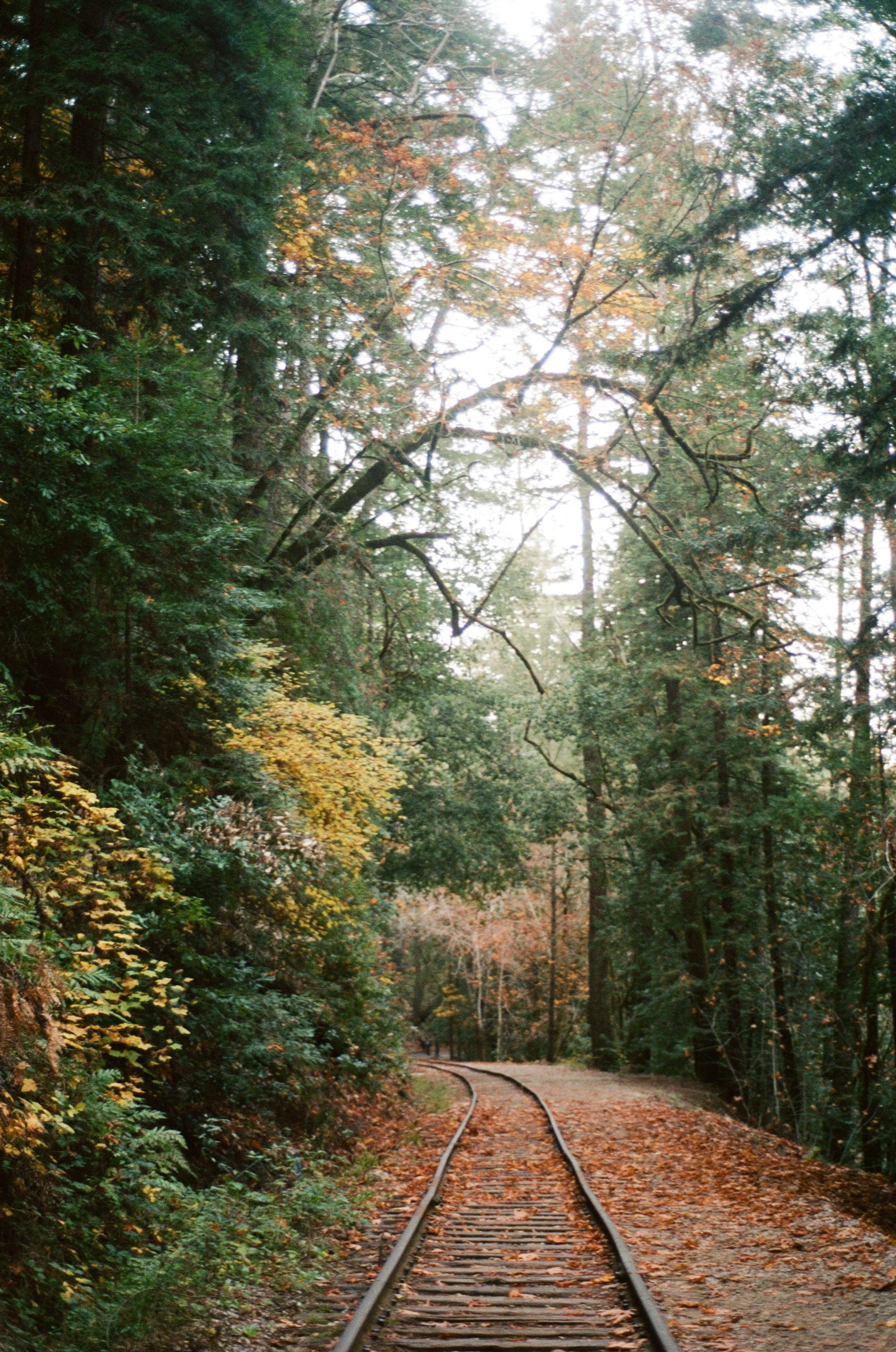 Garden of Eden (2025)