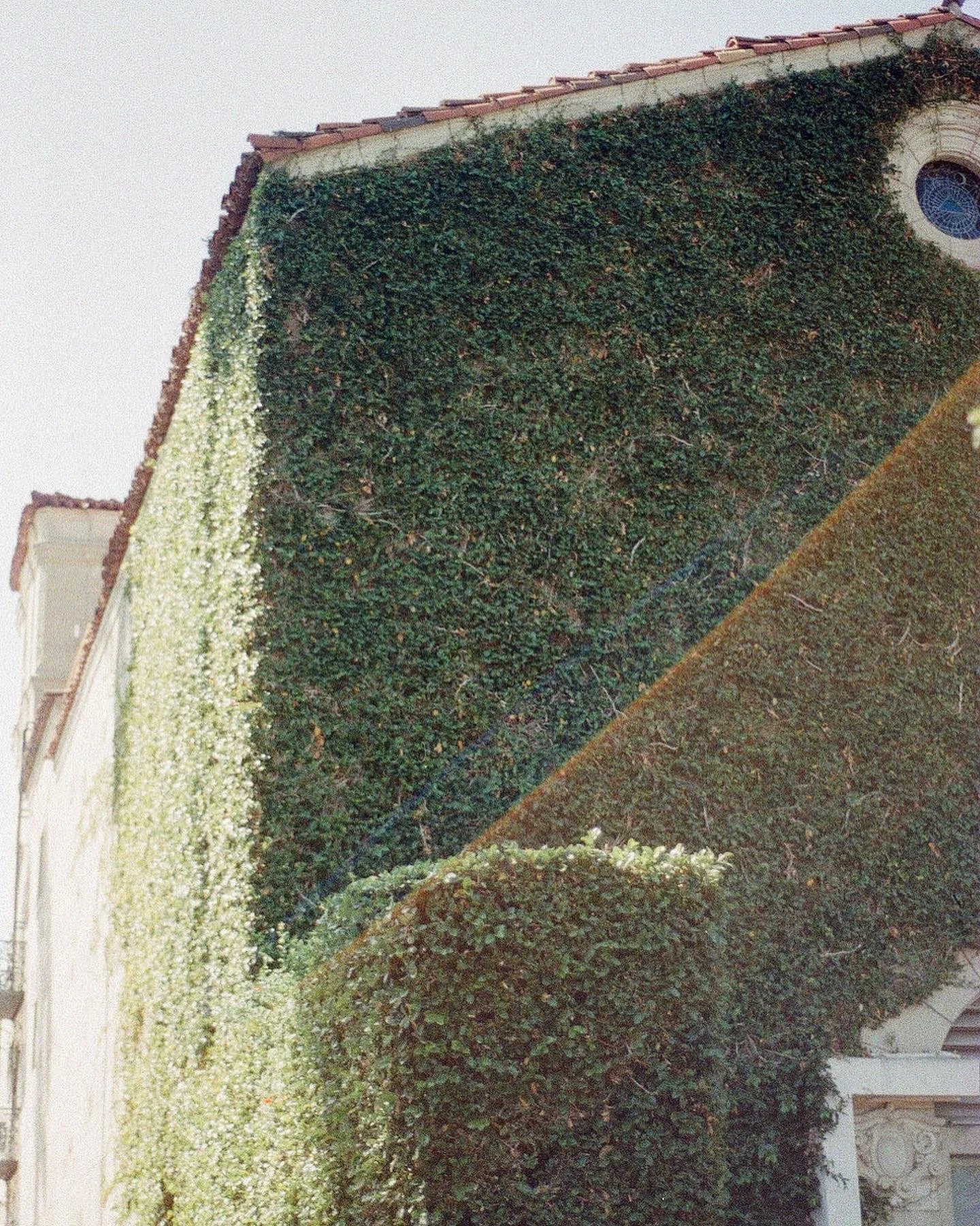 Hollywood Forever Cemetery (2022)