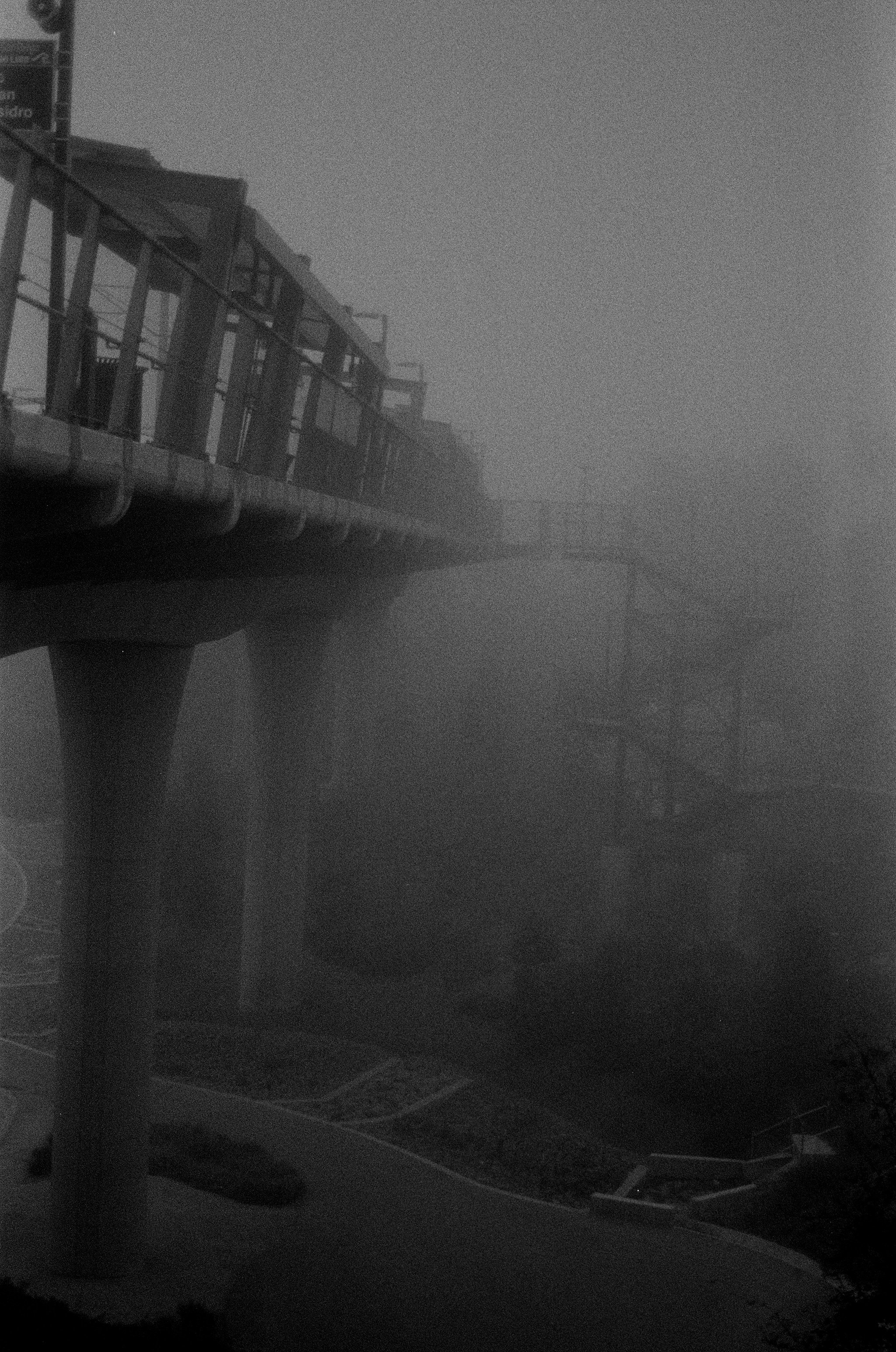 Fog (2025)
