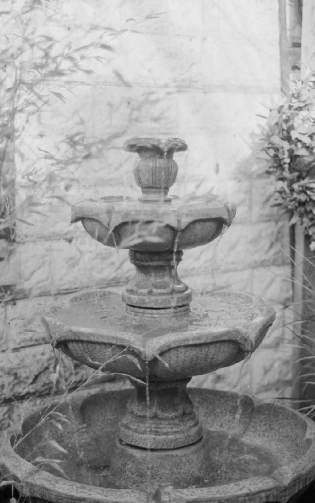 Fountain (2026)