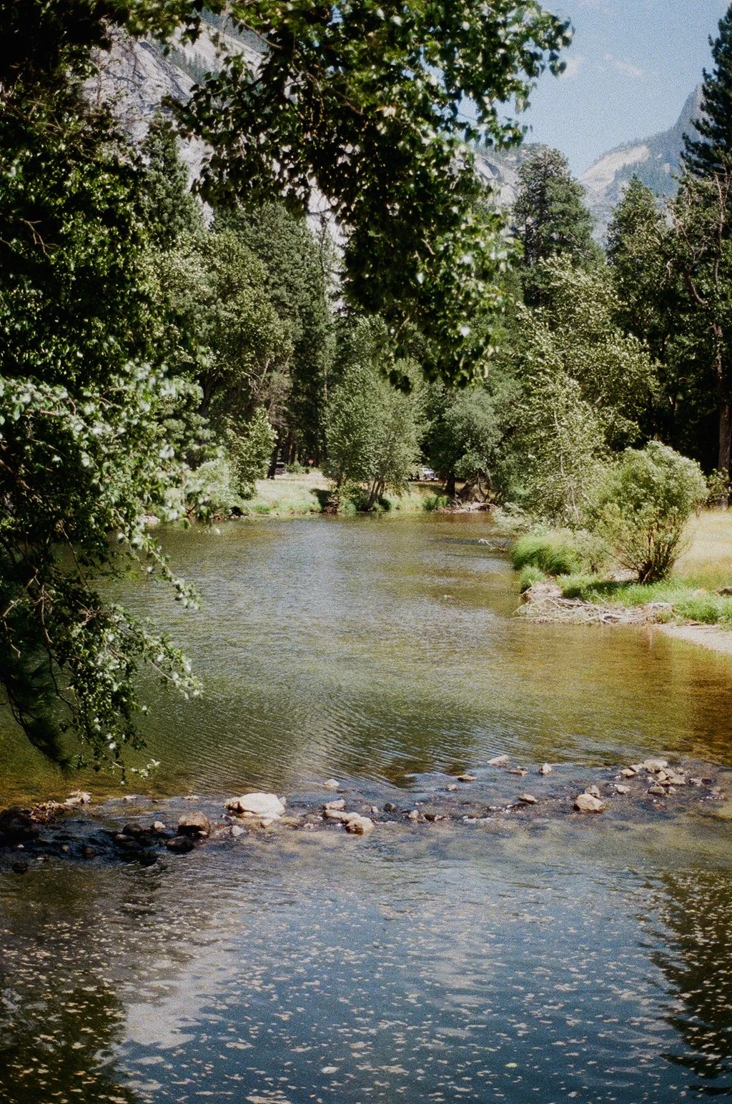 Light on the Lake (2020)