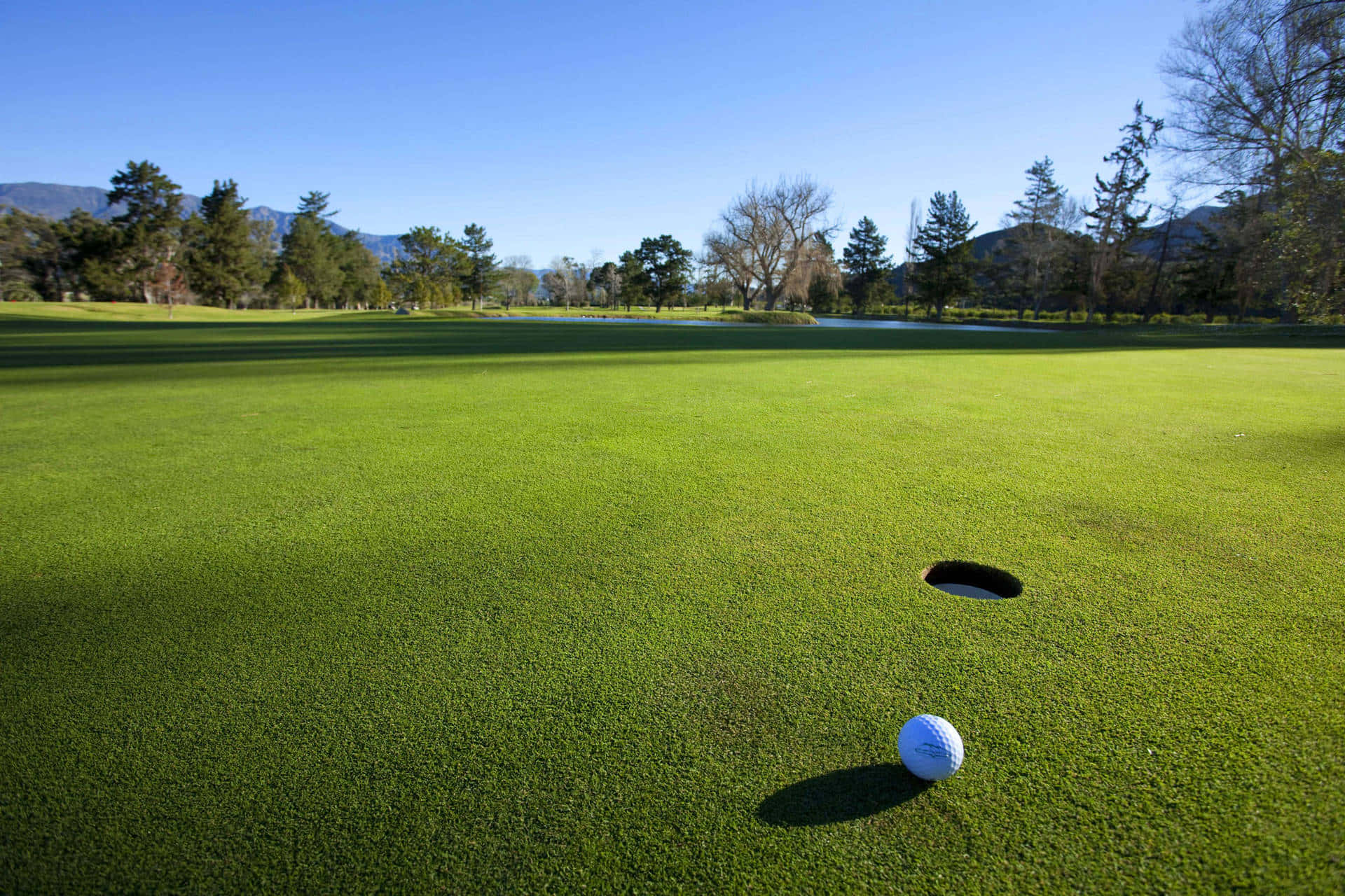 A golf course with a hole and a golf ball near the hole, surrounded by green grass and trees in the background, under a clear blue sky.