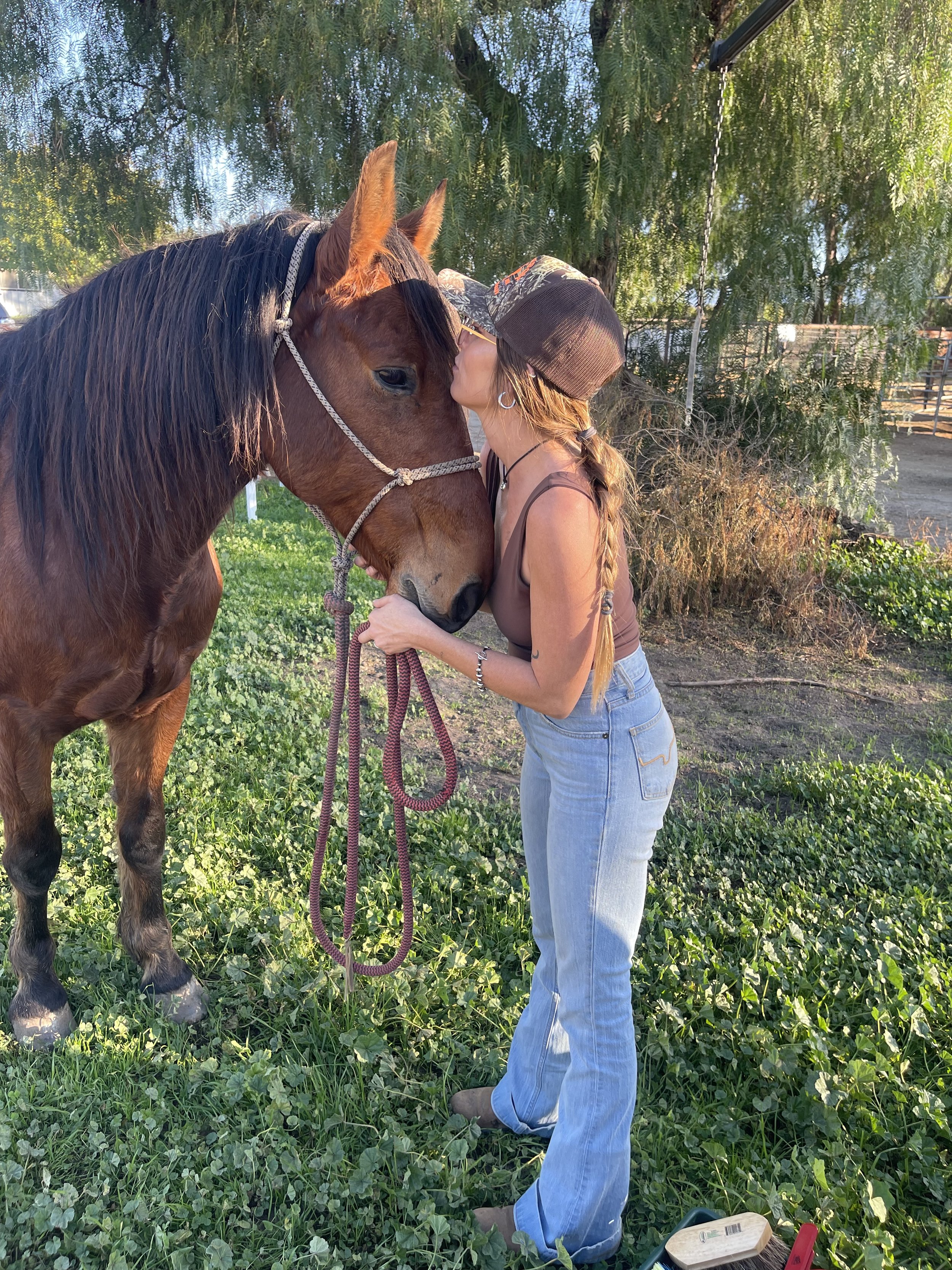 A woman with long brown hair in a braid, wearing a black cap, brown tank top, and light blue jeans, is kissing a brown horse on the face. The horse has a gray halter and is standing on green grass in a sunny outdoor setting with trees and fencing in the background.