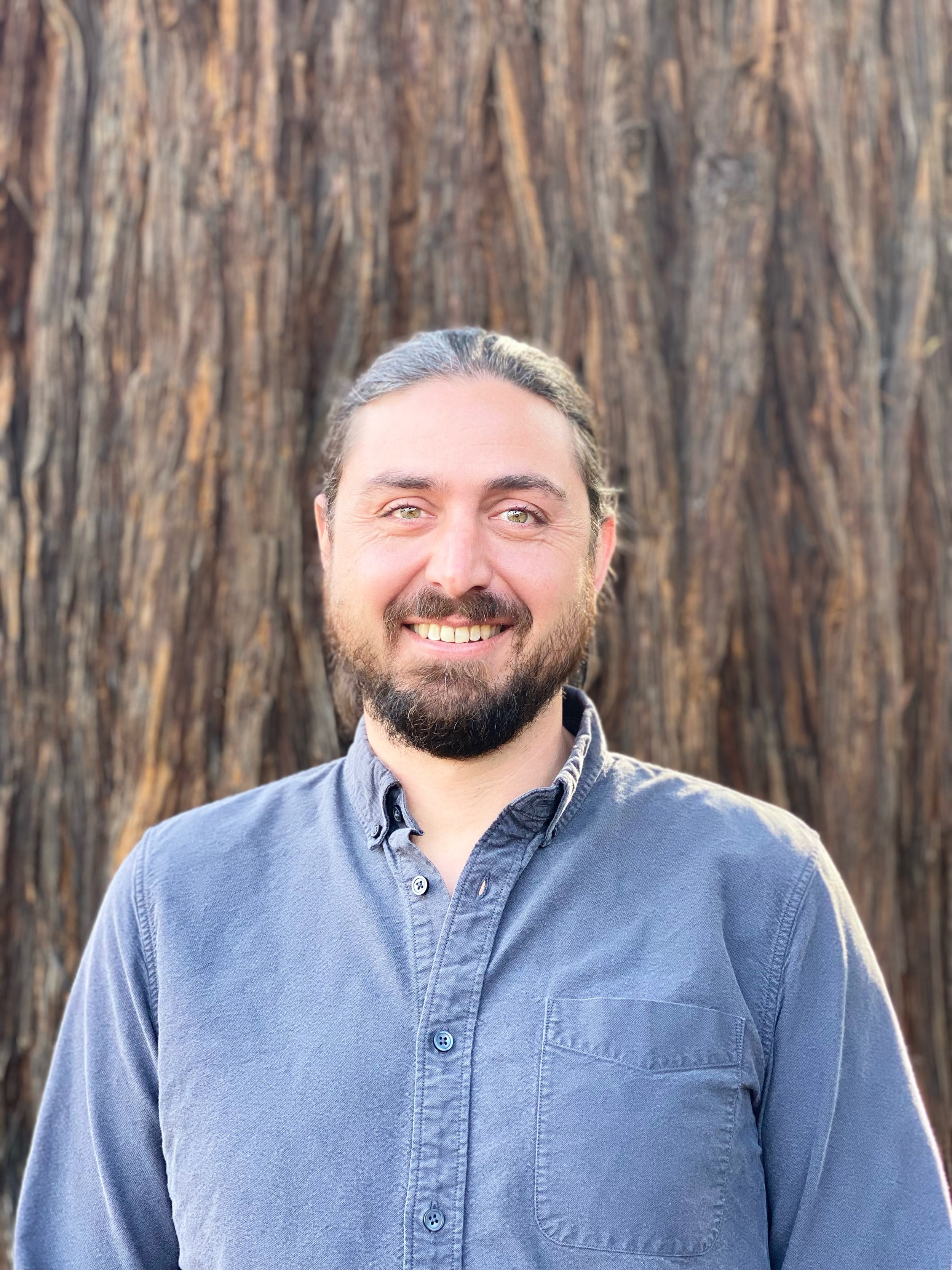 A warm, calm, trauma therapist mindfully standing in front of a sturdy redwood tree.