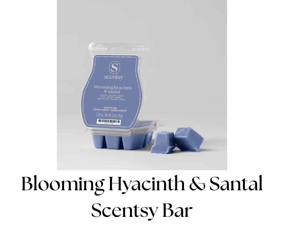 A package of Scentsy blooming hyacinth and sapphire scented wax melts with three blue wax cubes and a clear plastic bag on a plain white background.