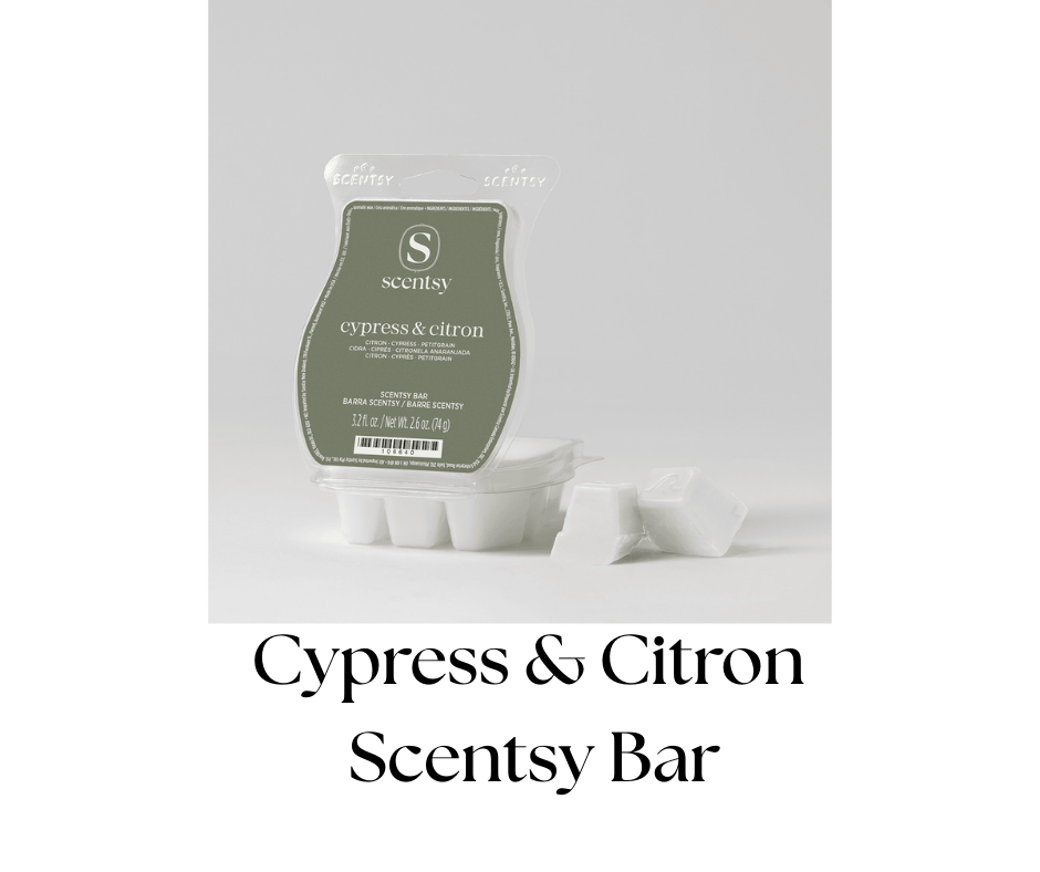 Scentsy Cypress & Citron scented wax bars in clear packaging with four white wax cubes outside.