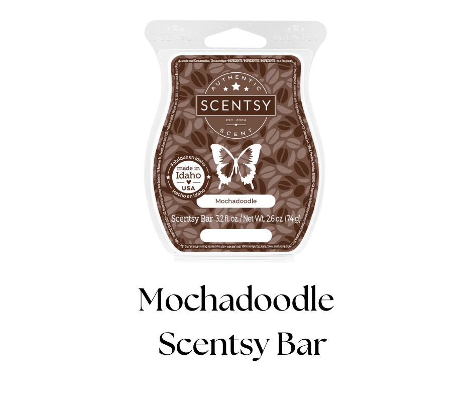 Scentsy bar package in brown color with butterfly logo, labeled "Mochadoodle," and text indicating it is made in Idaho, USA, and is a 3.2 fl oz (74 g) scented wax melt.