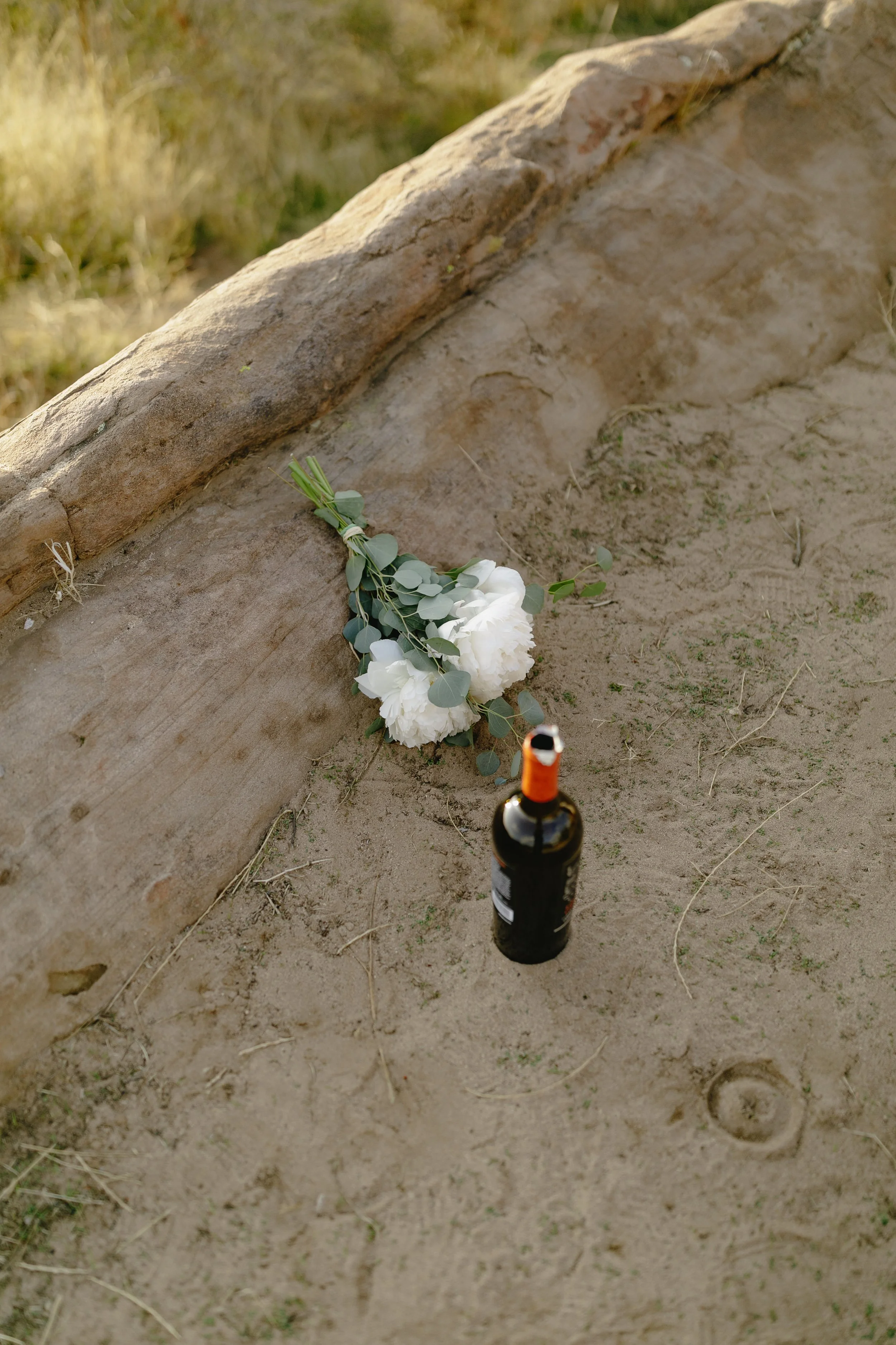 191214 - ellena and calvin engagement -040.jpg