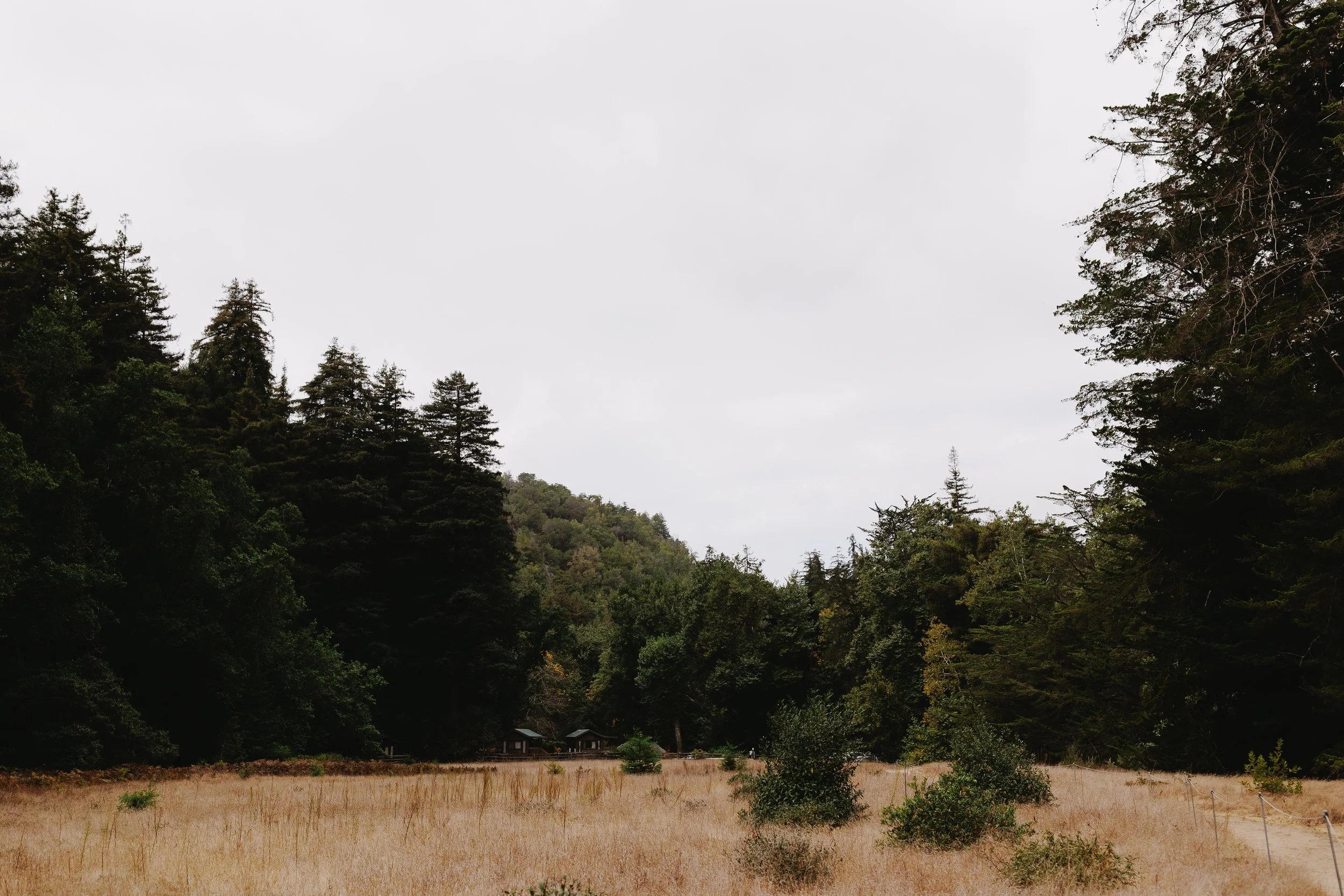 201108 - 251231_ELLENA + CALVIN-002.jpg