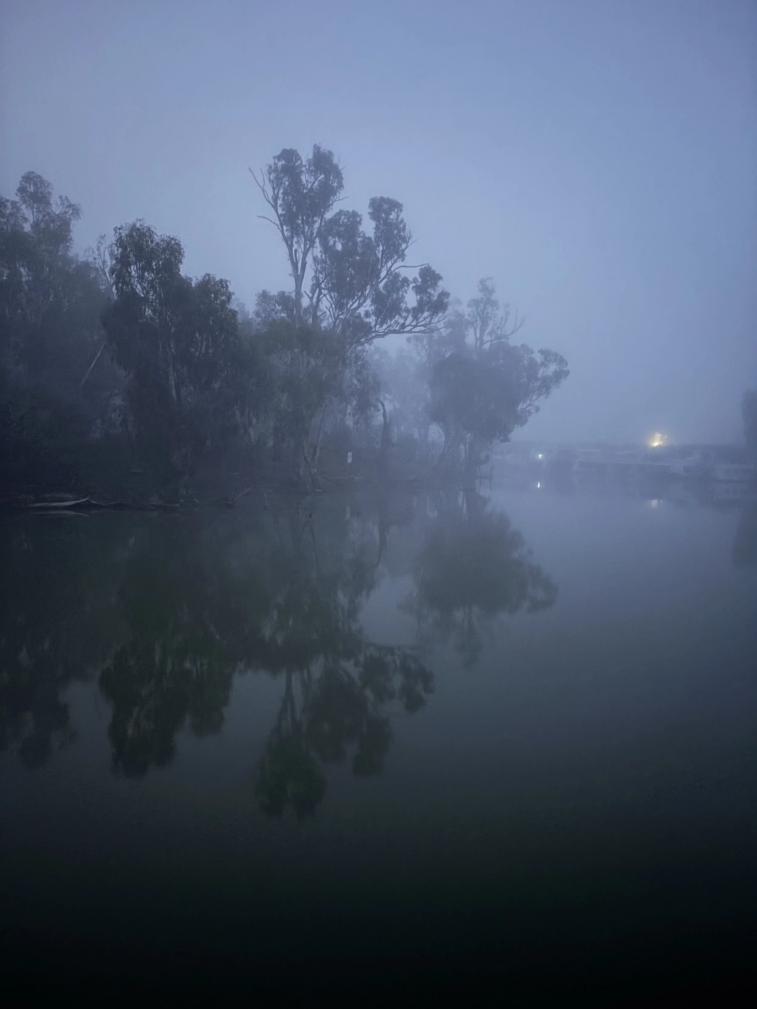 A foggy scene of trees reflected in a calm body of water at dusk or dawn.