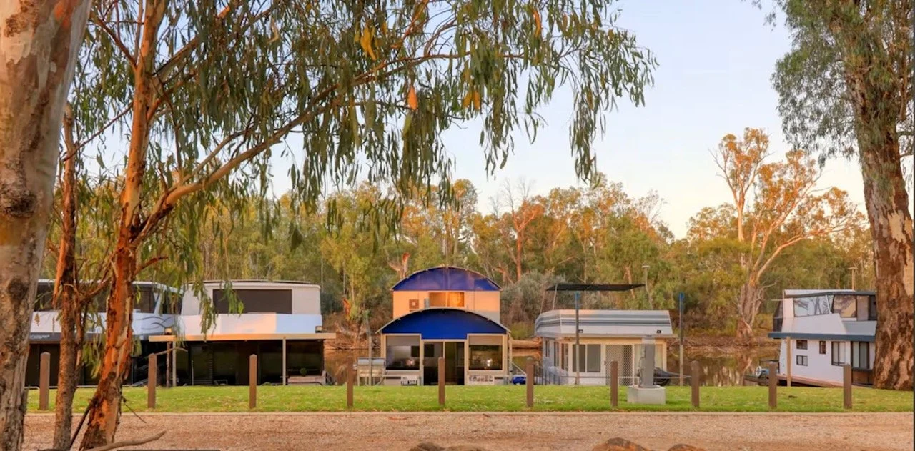 Four houseboats with large windows and decks are parked along a river, surrounded by trees during sunset.