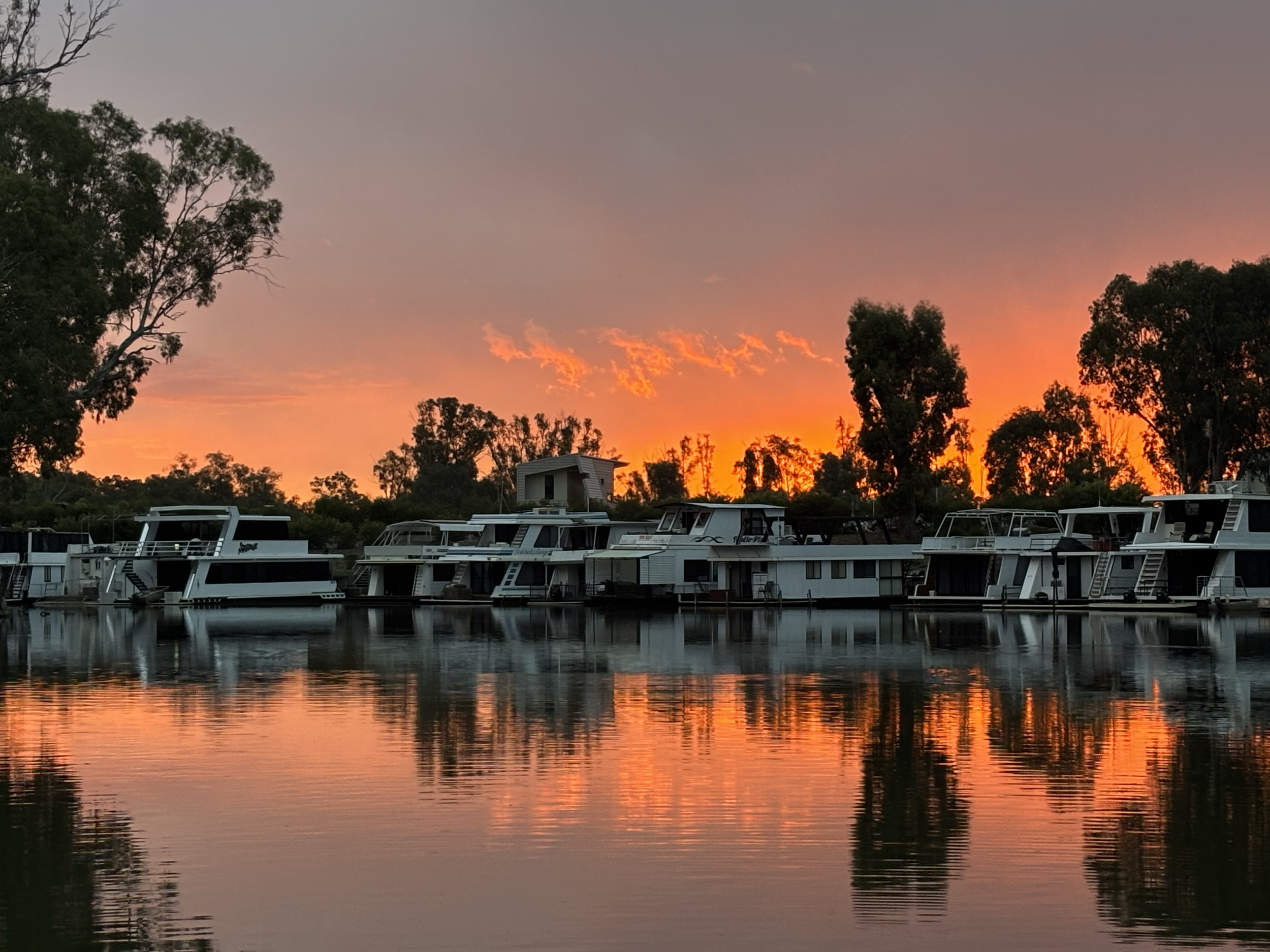 A sunset over a marina with several boats docked on calm water, trees in the background, and an orange and pink sky.