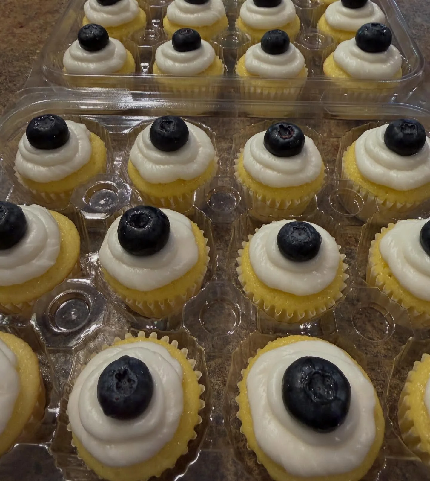 Mini Cupcakes Lemon.jpg