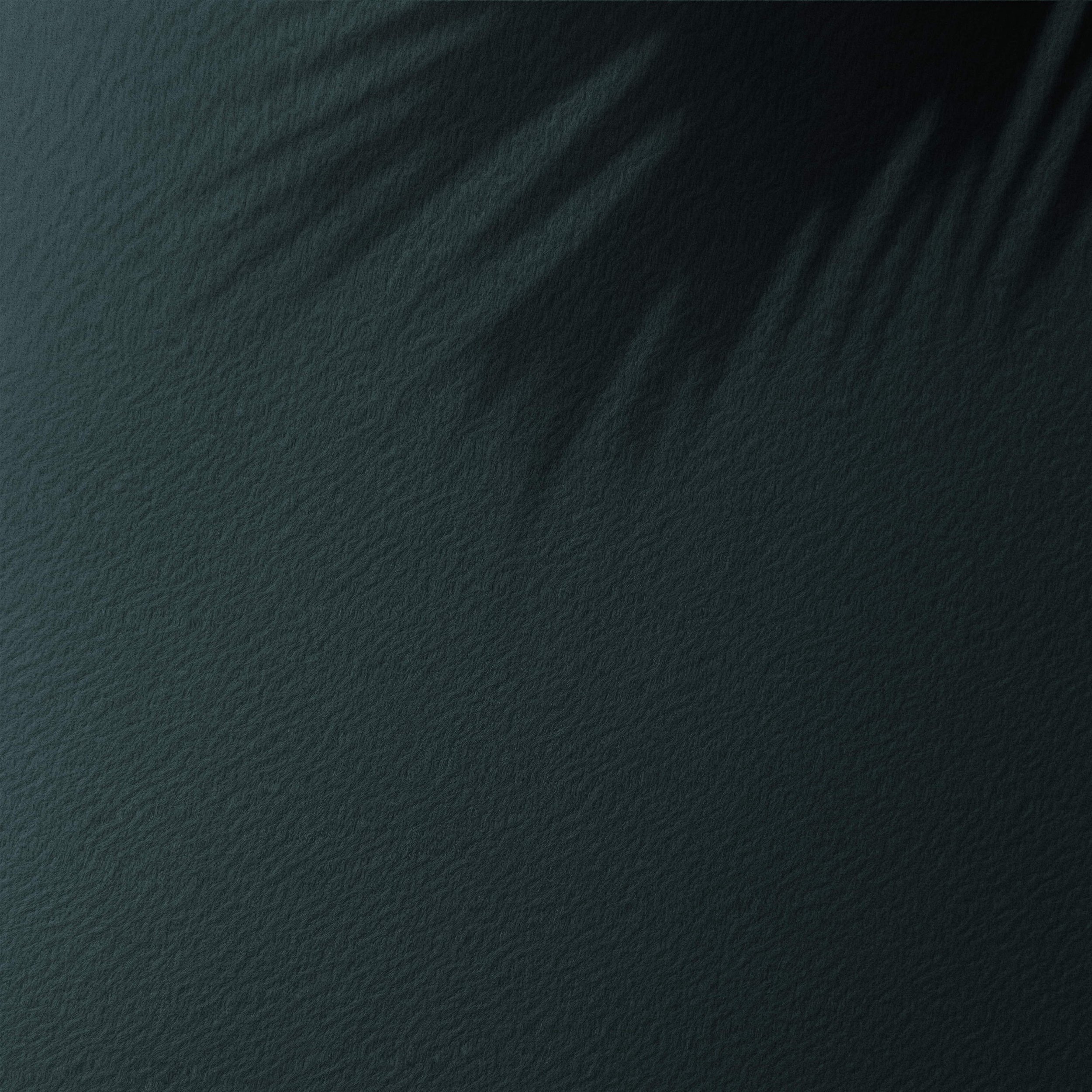 palm tree background