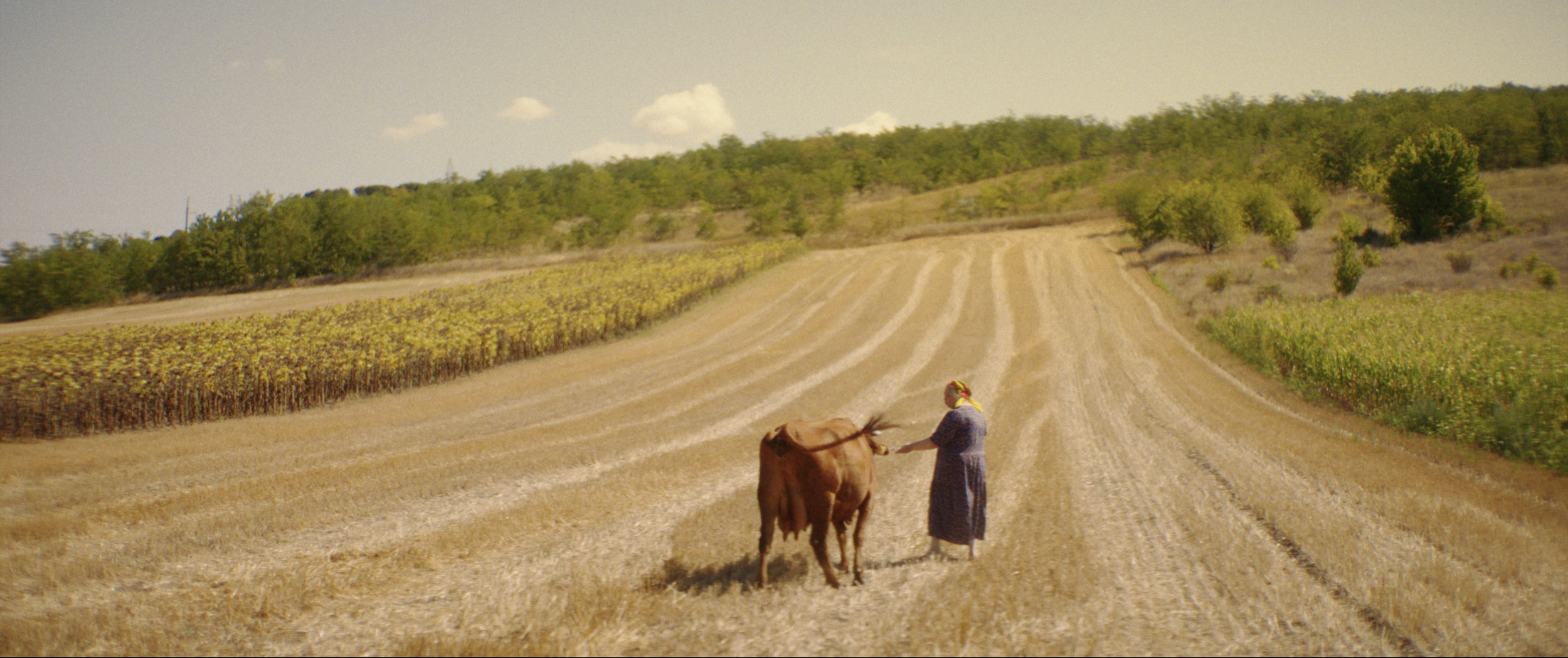 Screenshot 2025-12-08 at 3.55.32 PM.png