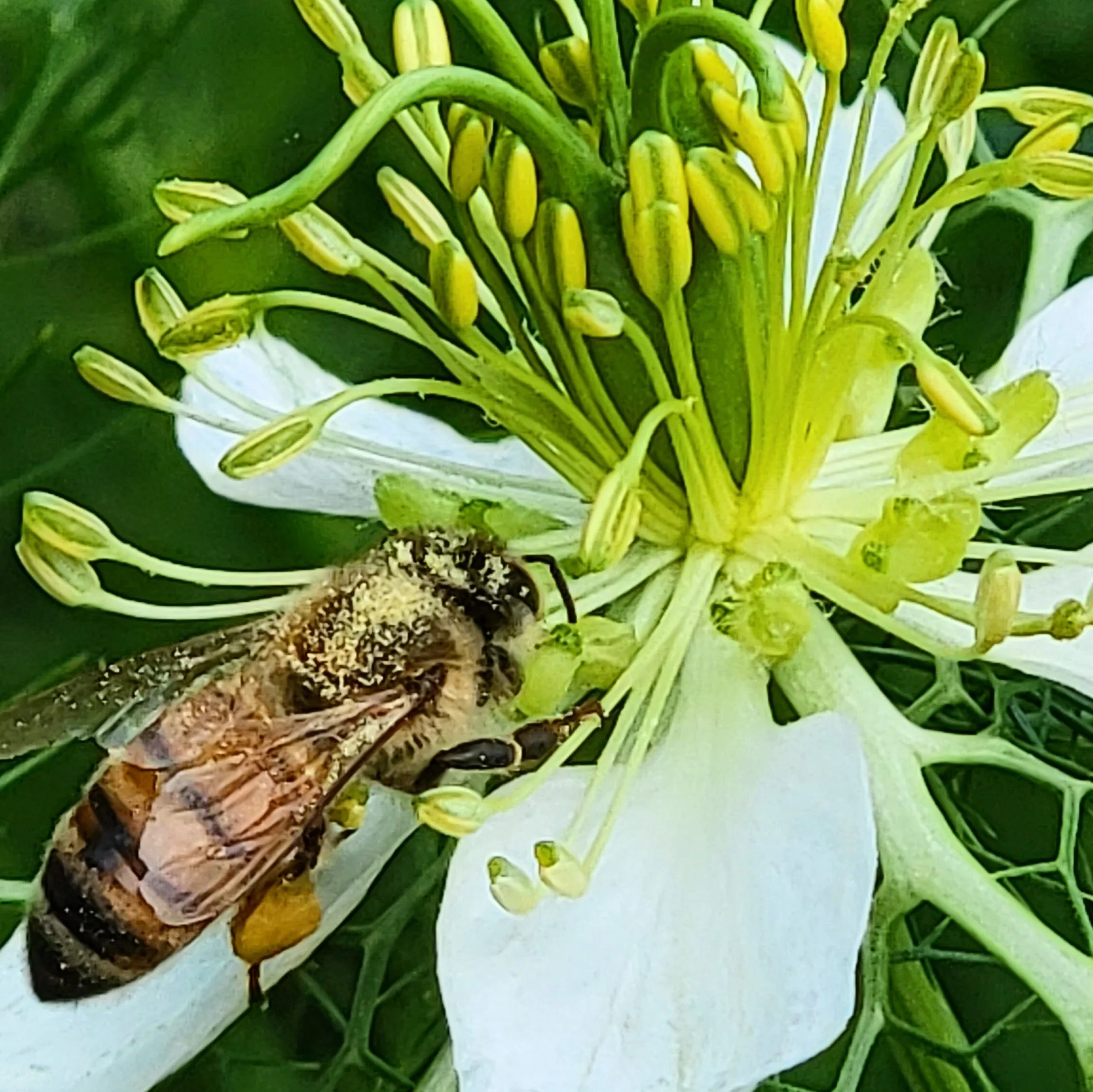 20230721_164319 Copy.JPG