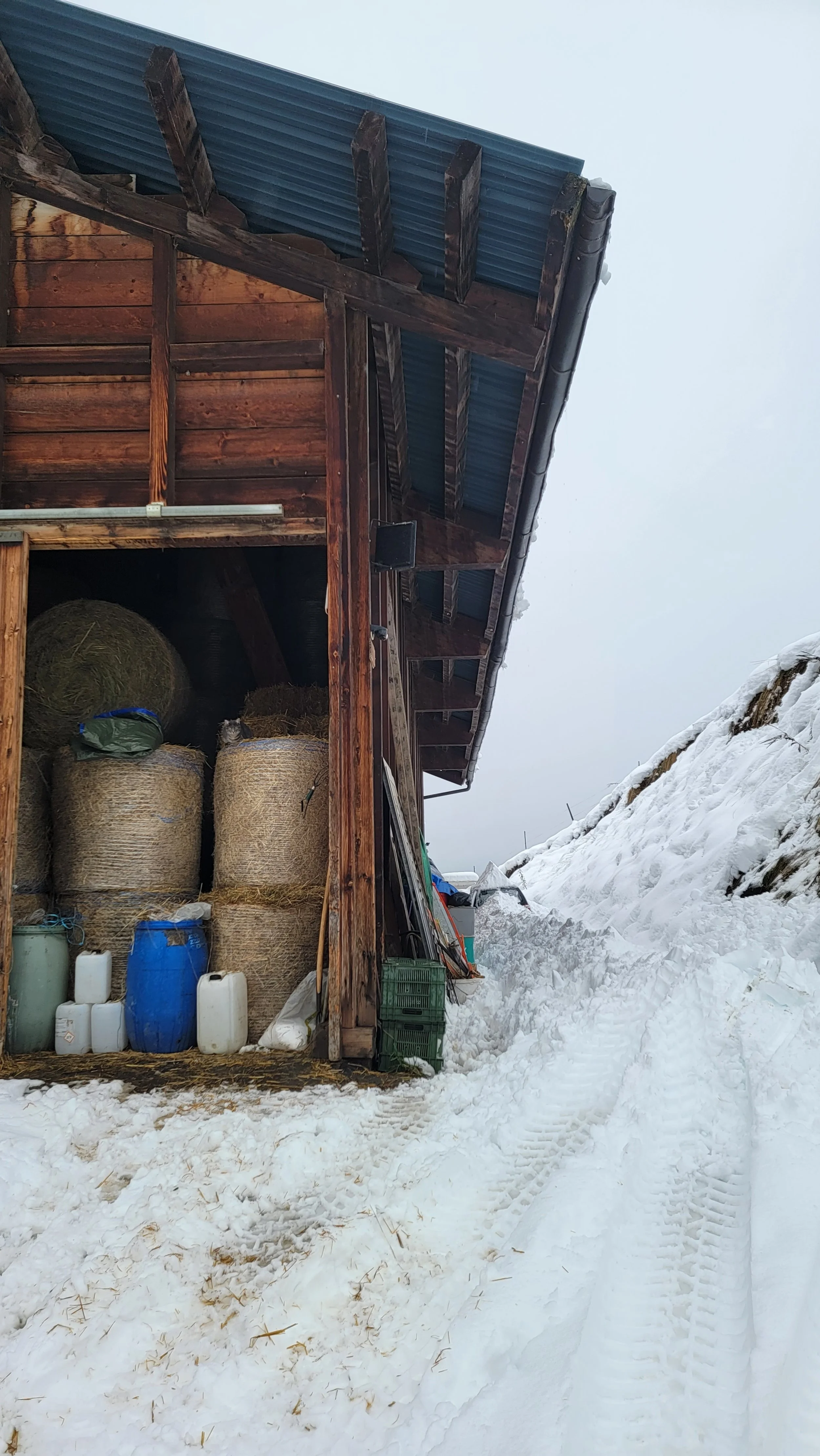 20231105_102124 (1).jpg