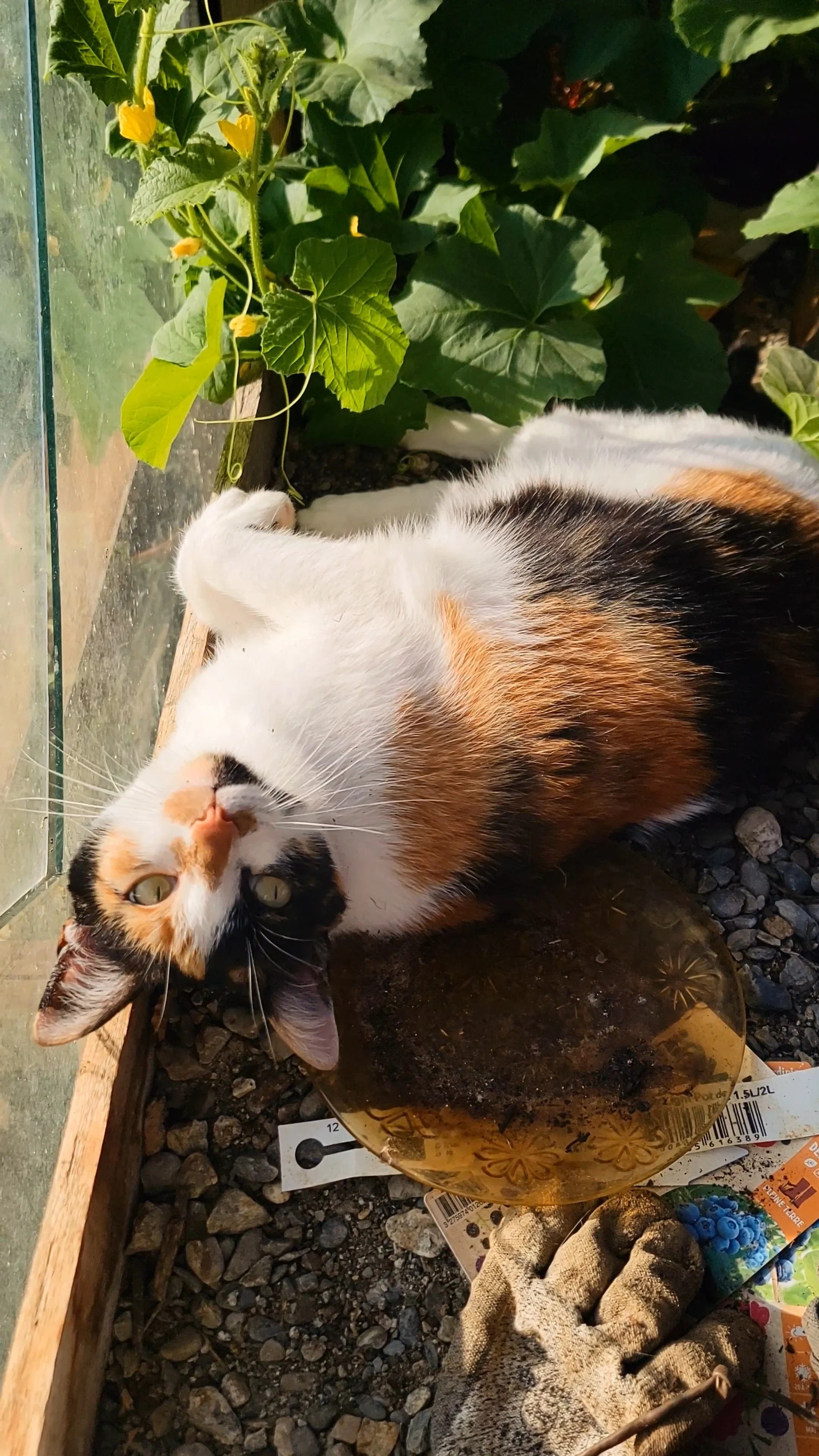 20250724_194103_exported_4527 (1).jpg