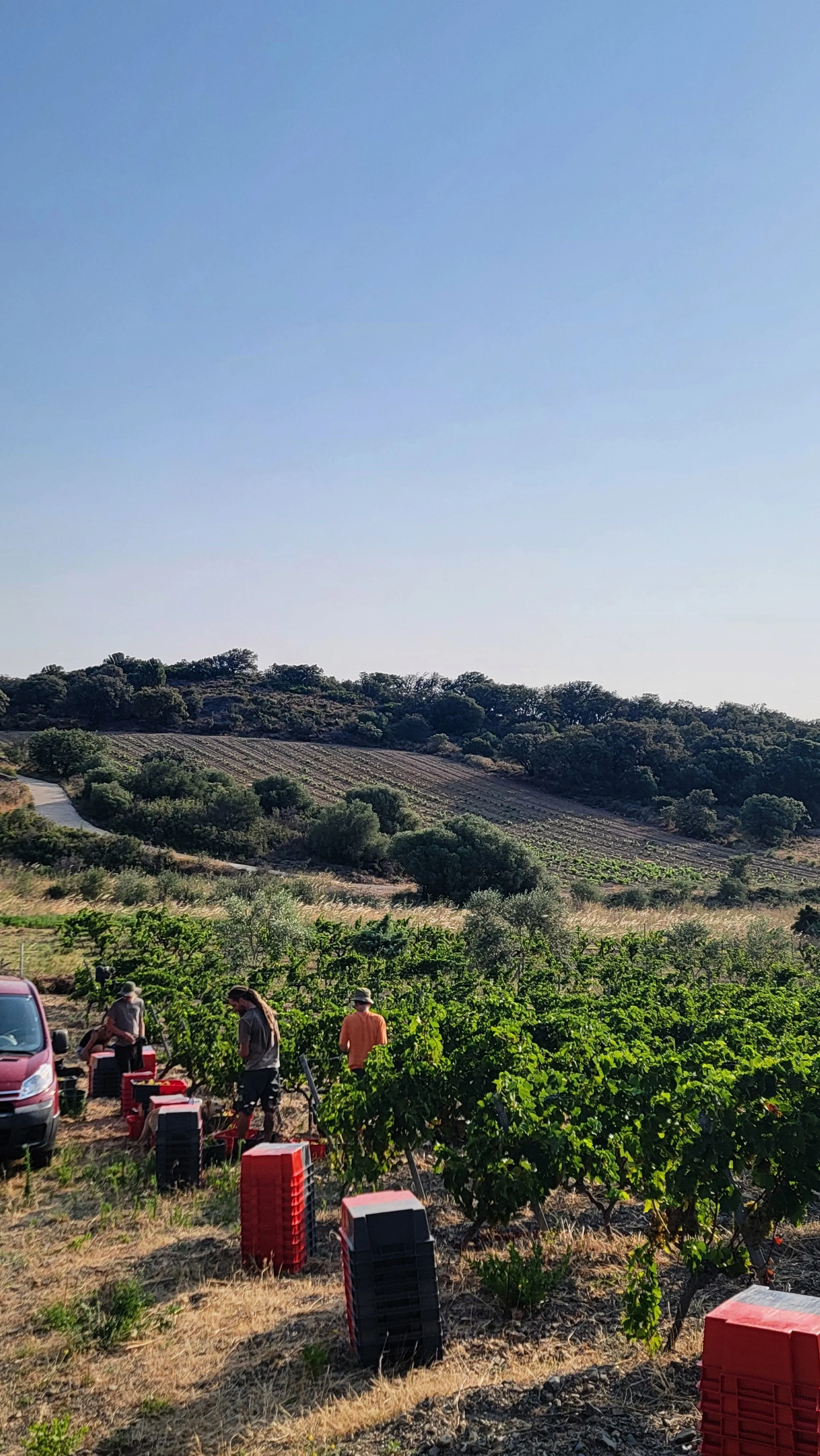 20250807_085930~2 (1).jpg