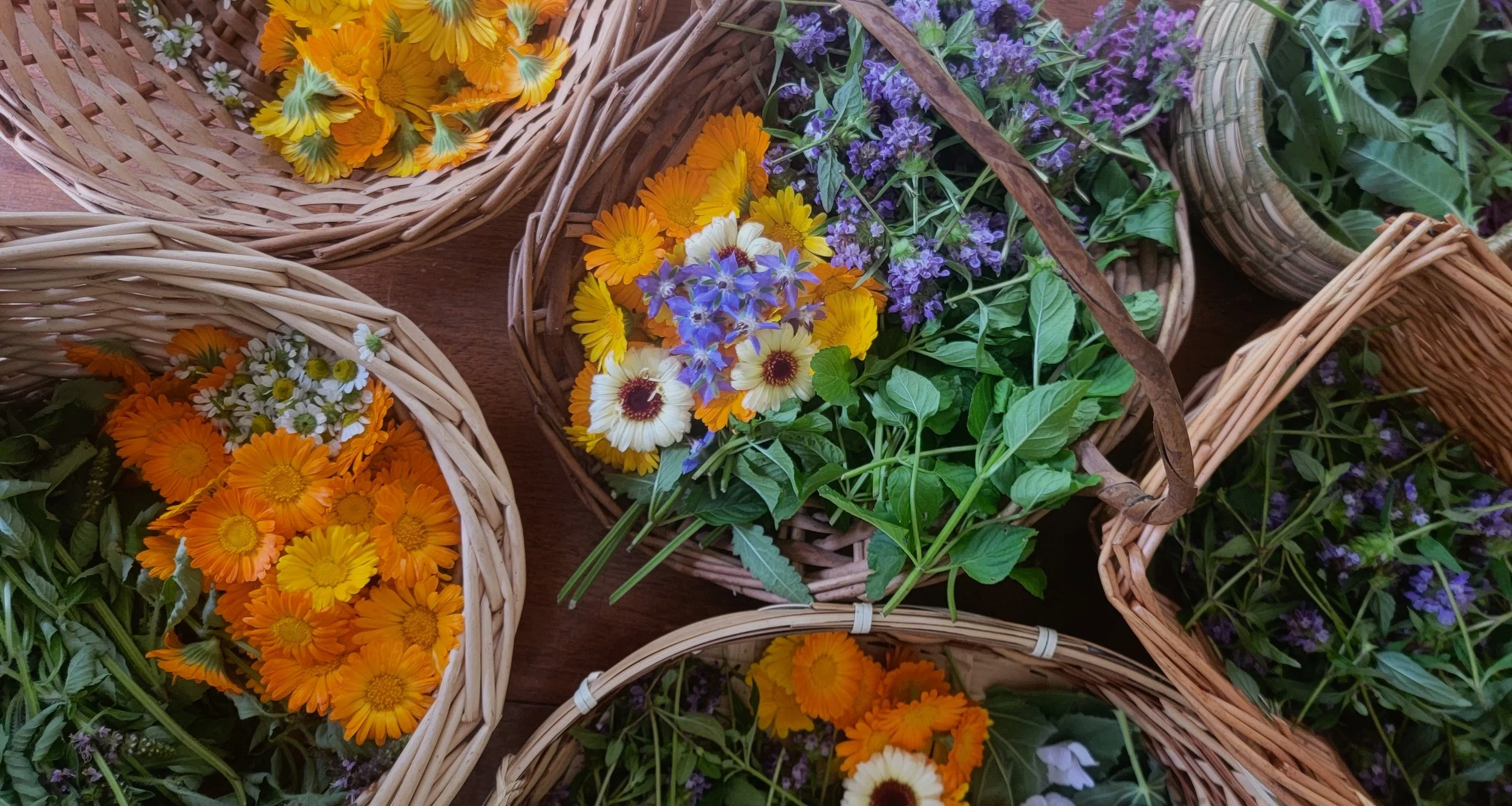 20230716_134140 Copy.JPG