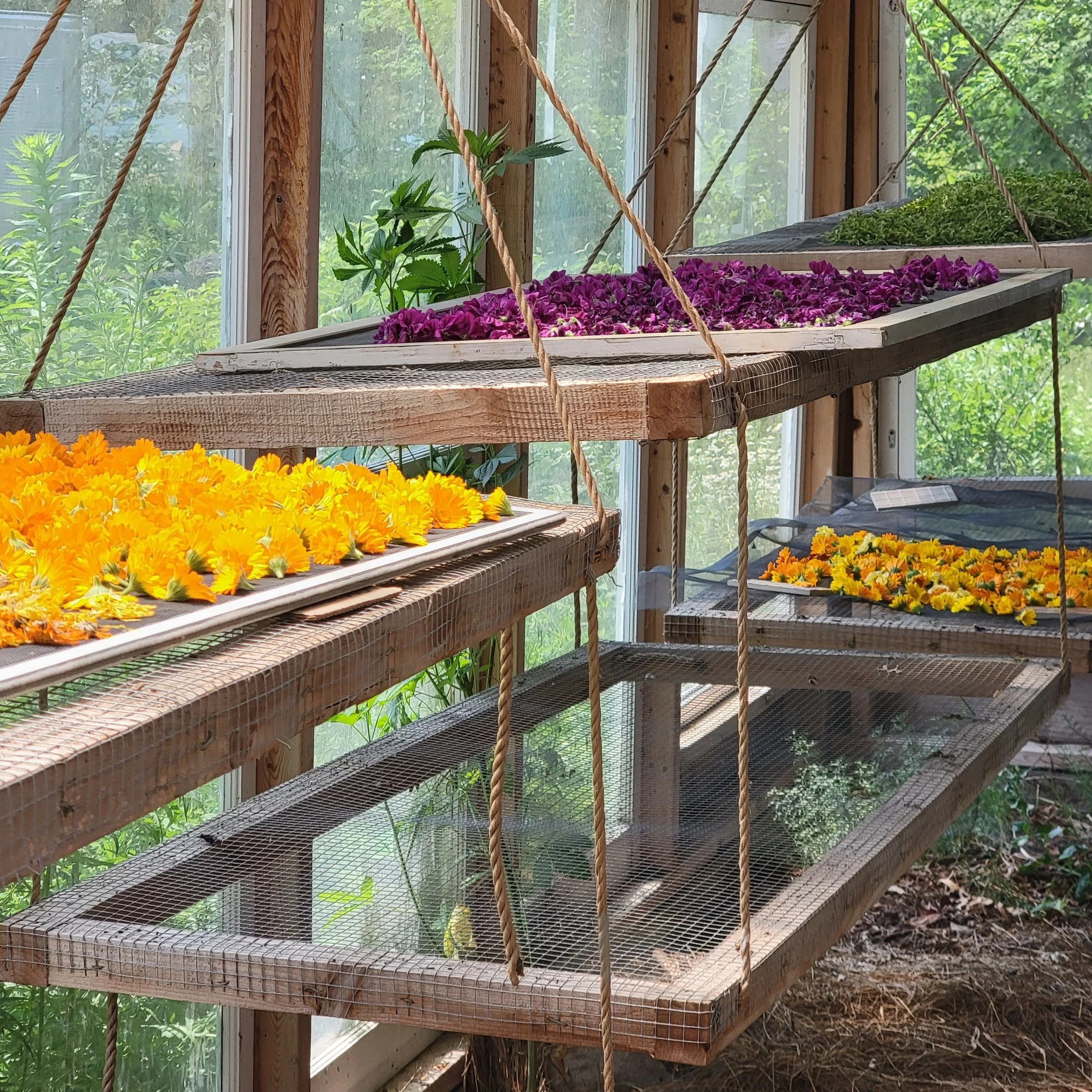 20230711_125424 Copy.JPG