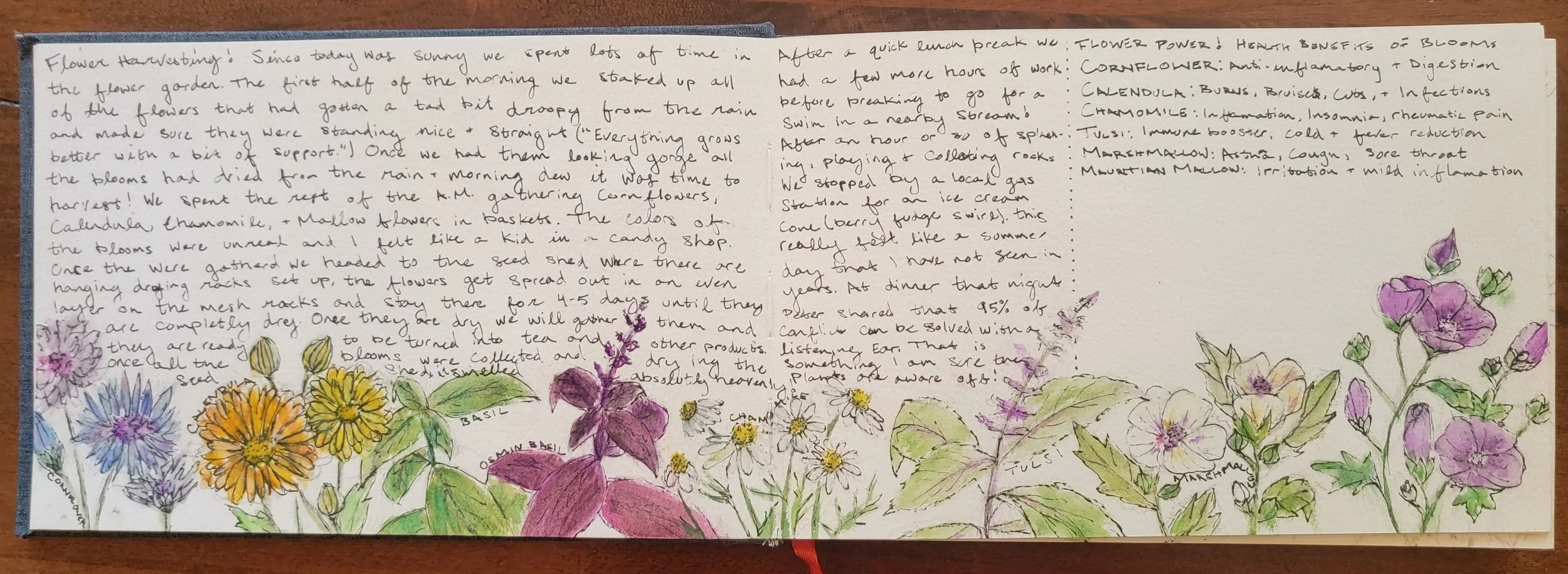 20230907_131243 Copy.JPG