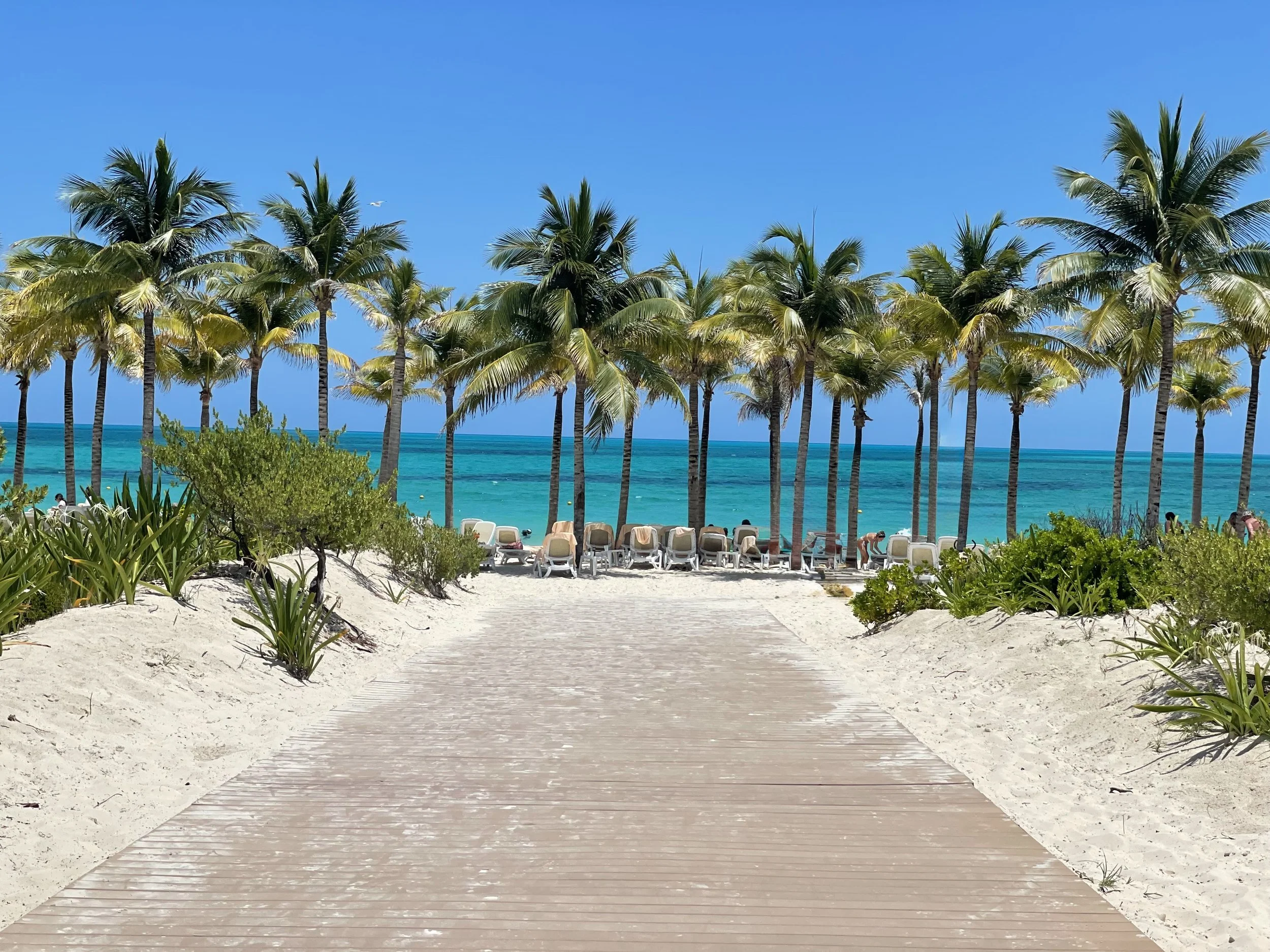 Caribbean and Mexico