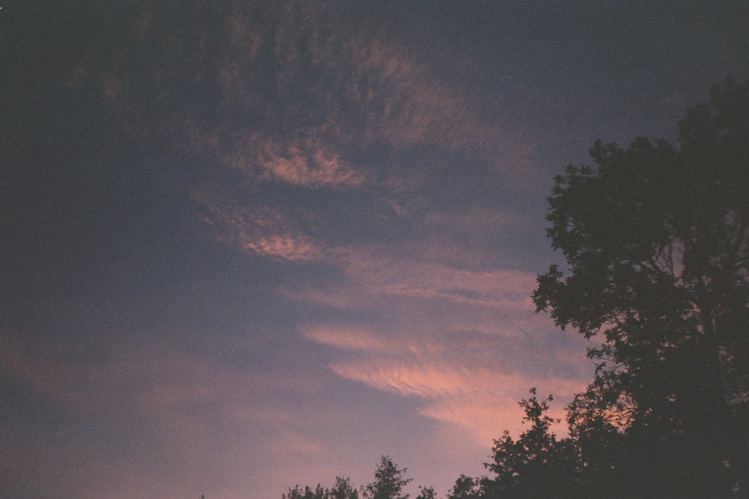 The sky at dusk with pink and purple clouds and a silhouette of trees on the right side.