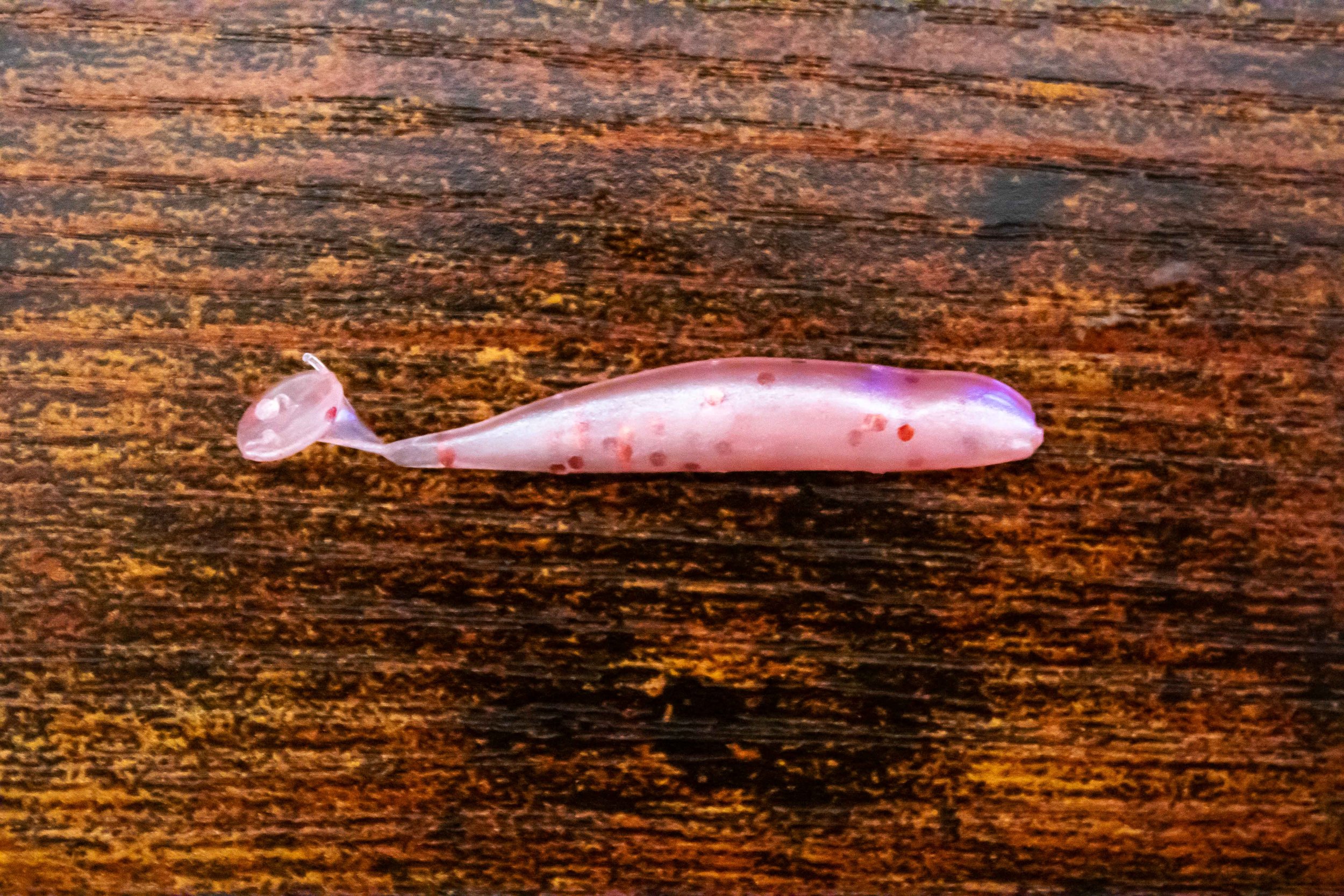 Murder Minnow Micro Thumper