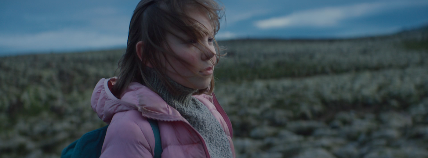 "Sheep" - Hobby Lobby