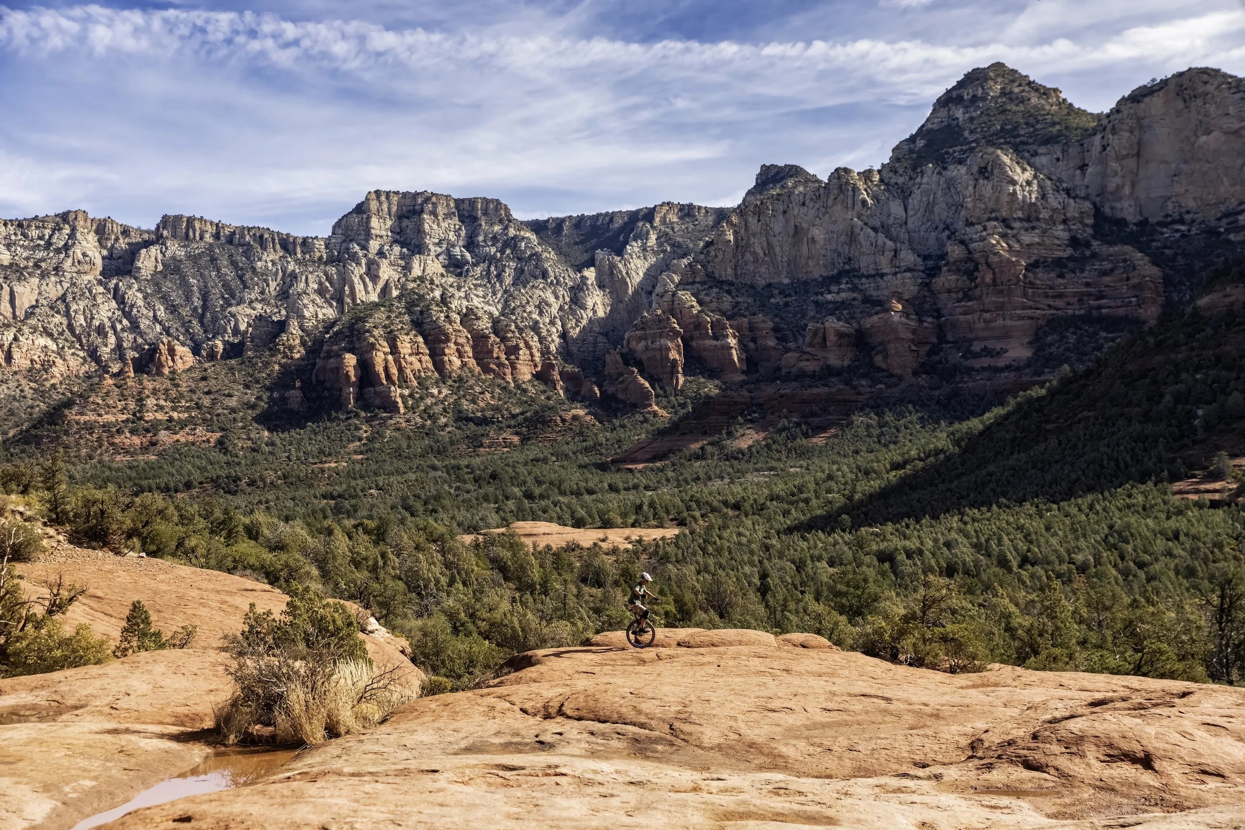 FH Muni 012_FEB8214 copy 2.jpeg