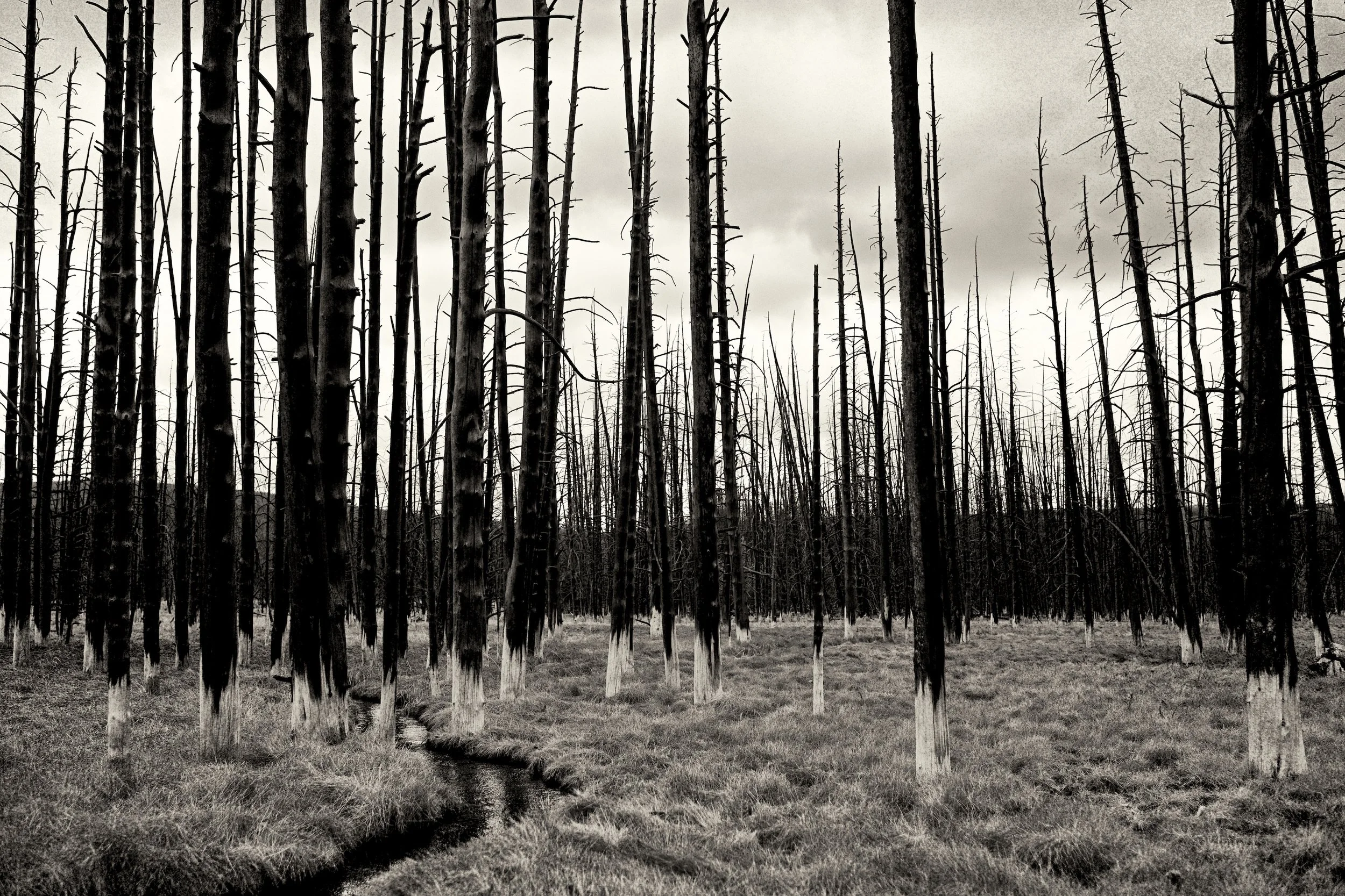 Landscape Photography_028.jpg