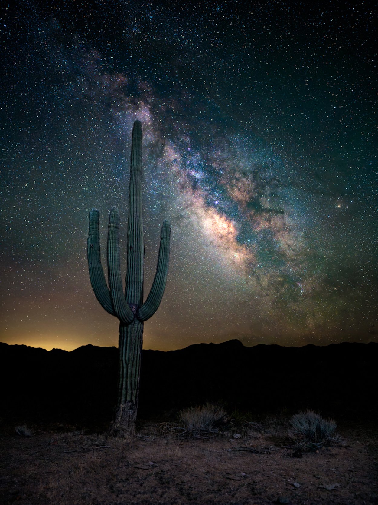 Morring Nightwatch.jpg