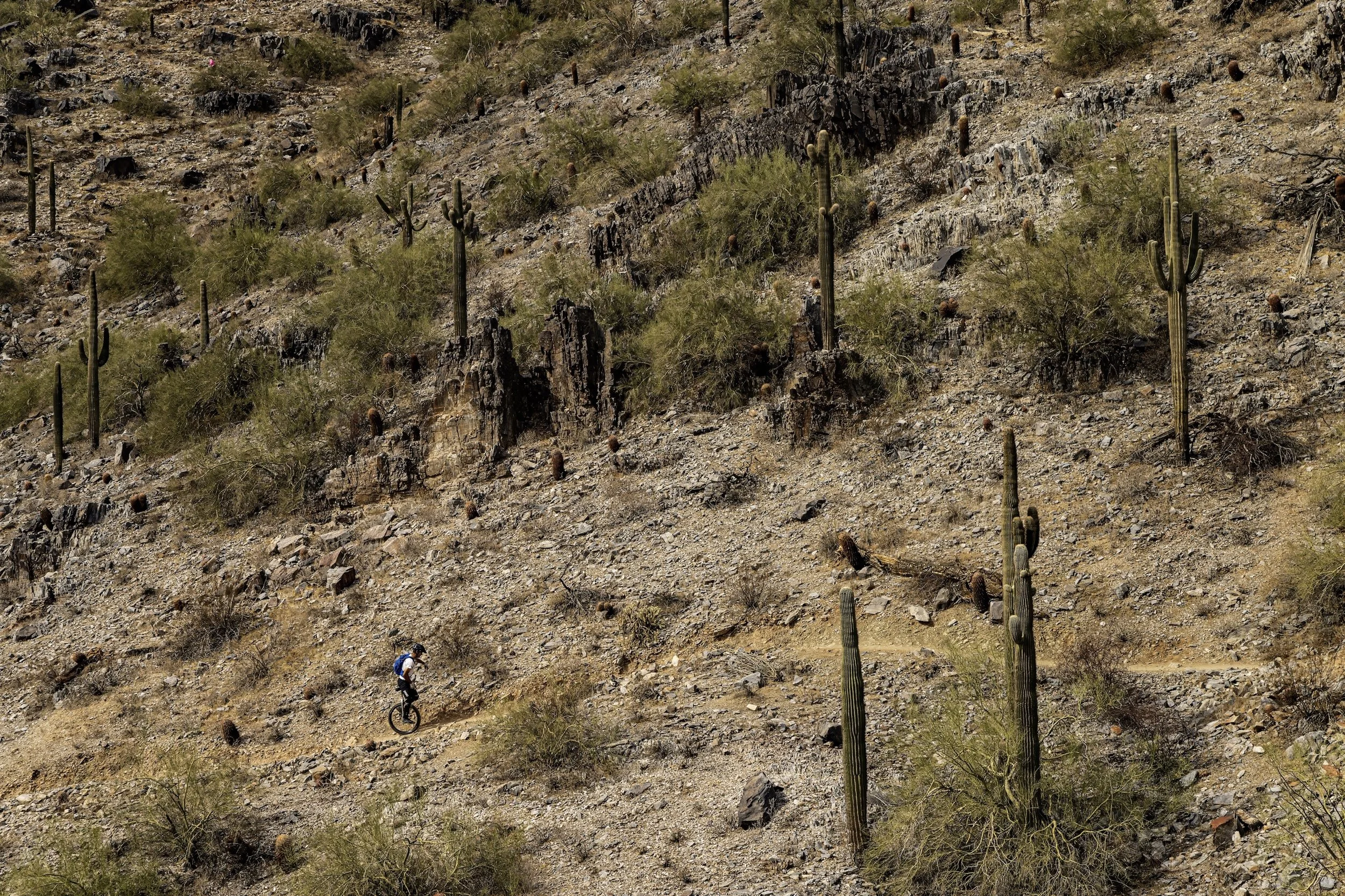 FH Muni 016_FEB6292 copy 3.jpeg