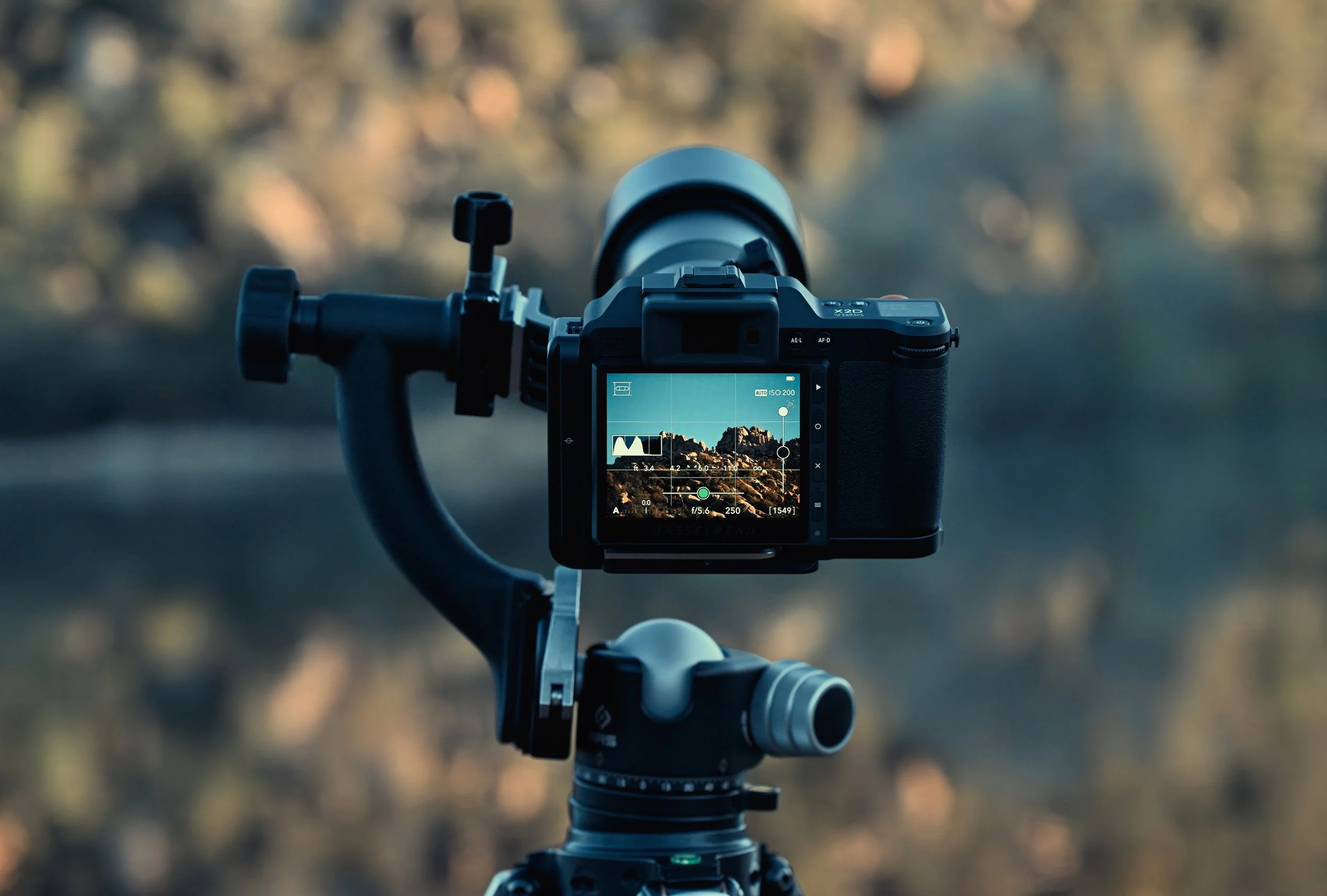 Hasselblad X2D 018.jpg