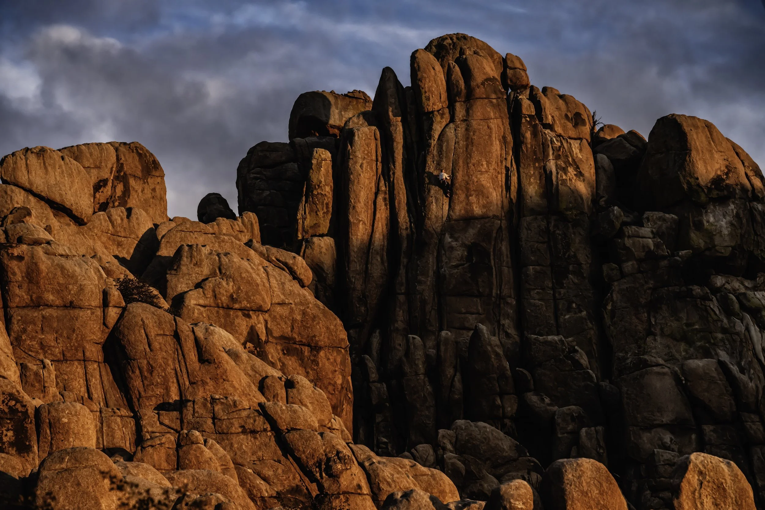 Revelator_JAN1686_PS_SuPu_Flattened-topaz-denoise copy.jpeg