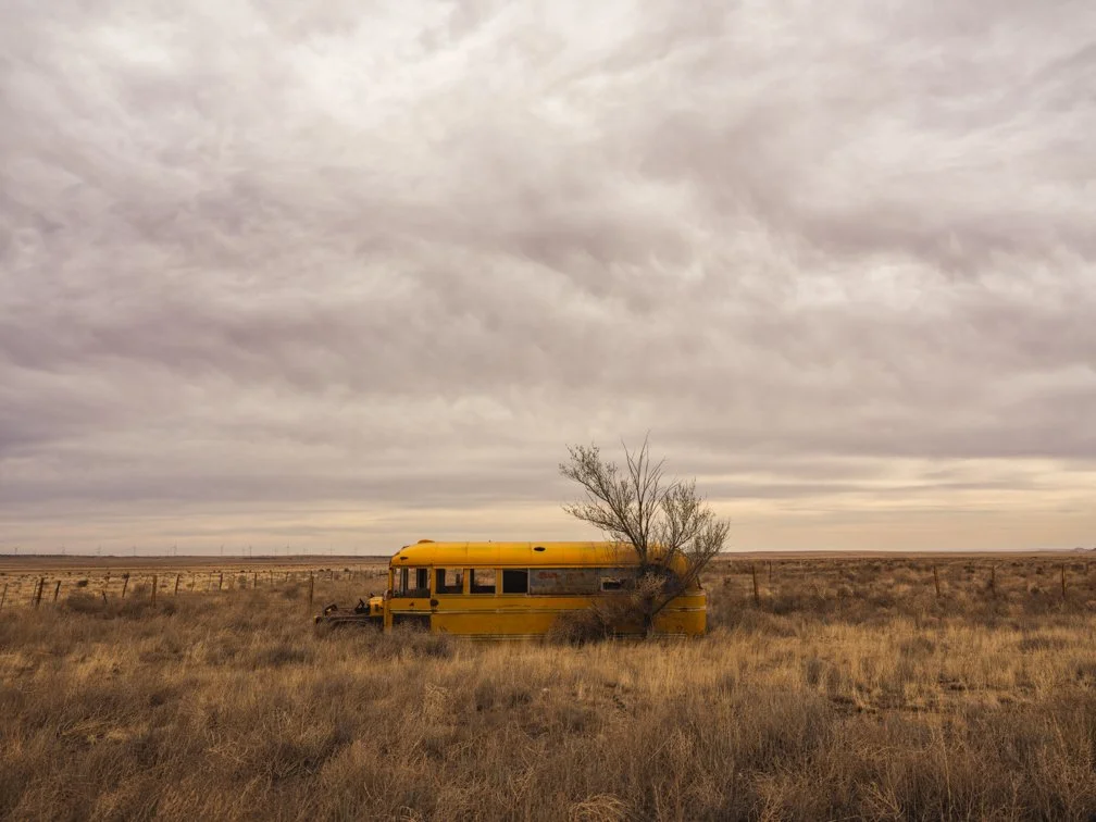 #29 - Field Trip - web and email 72ppi.jpg