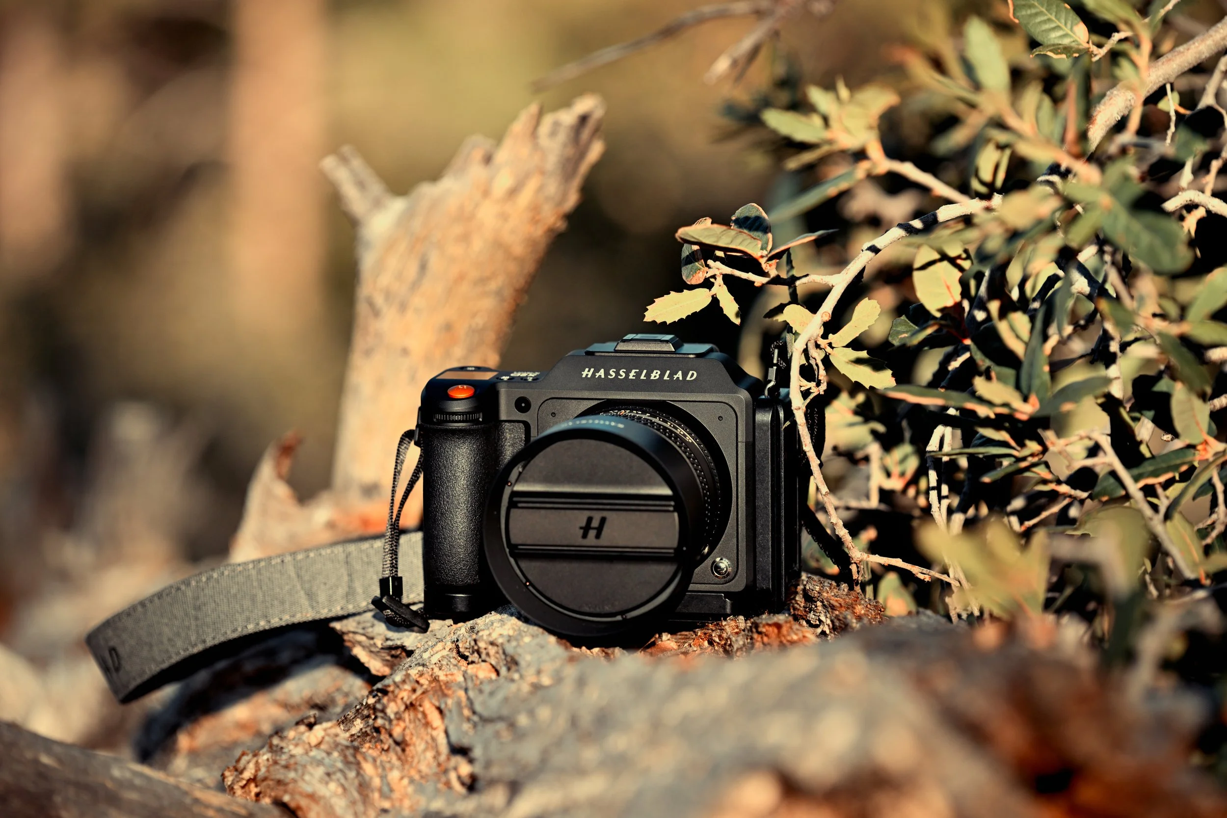 Hasselblad X2D 024.jpg