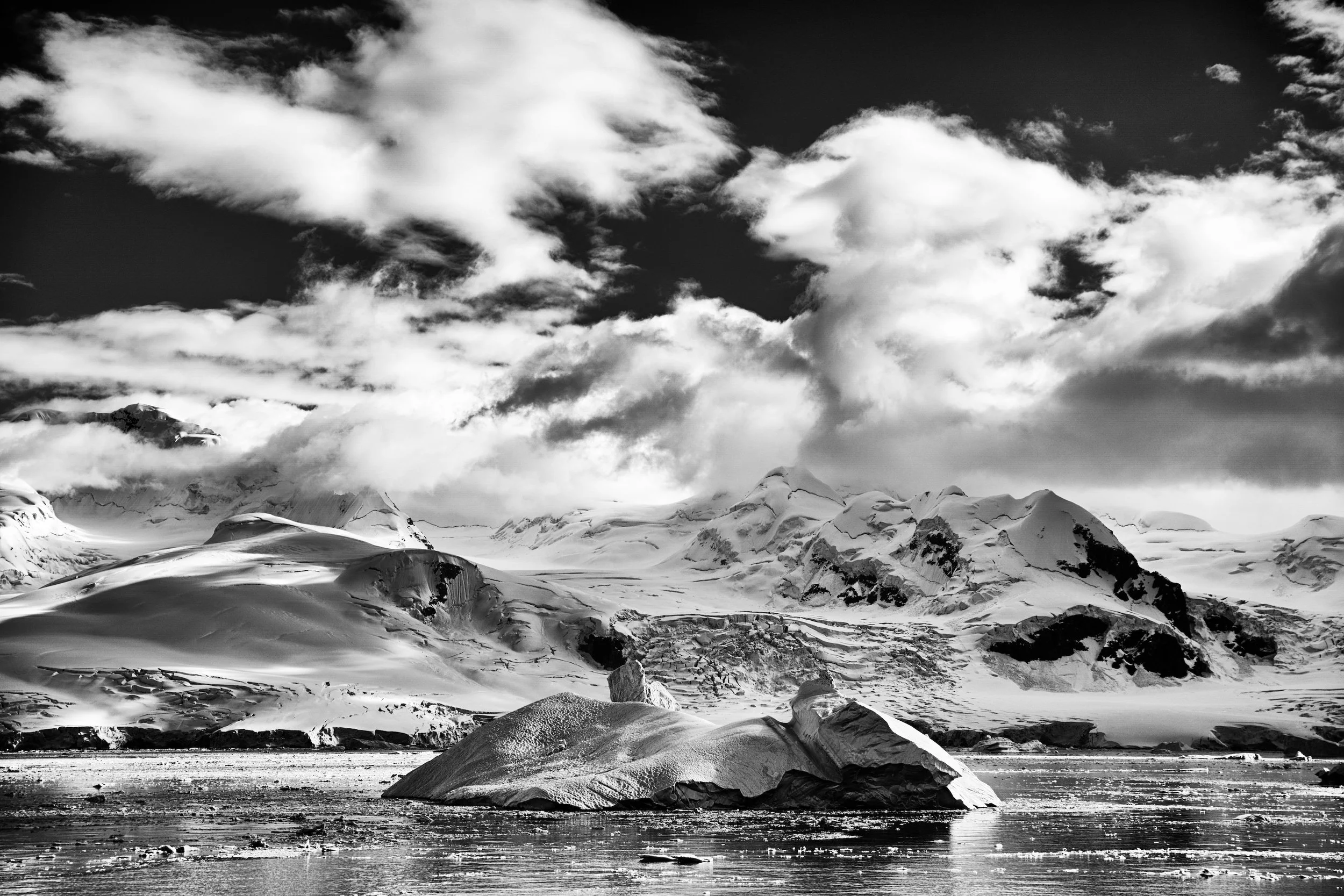 _PTG1316_PS_SEP copy 2.jpg