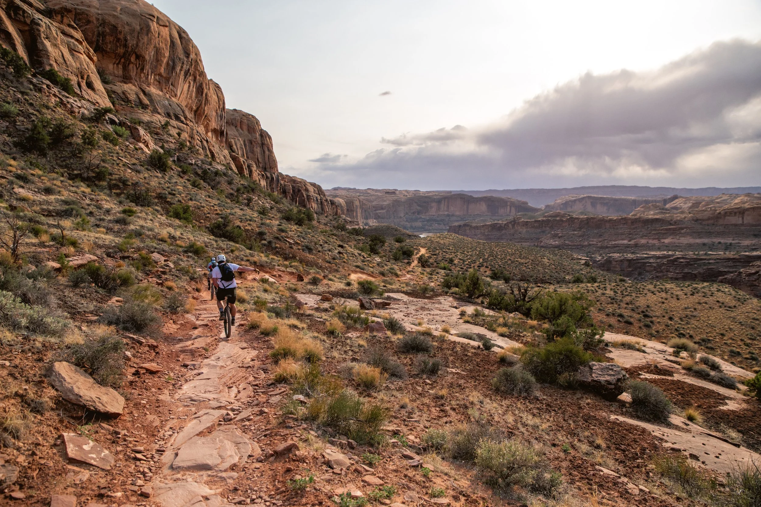 FH Muni 025_MOA7805_PS_CB copy.jpg