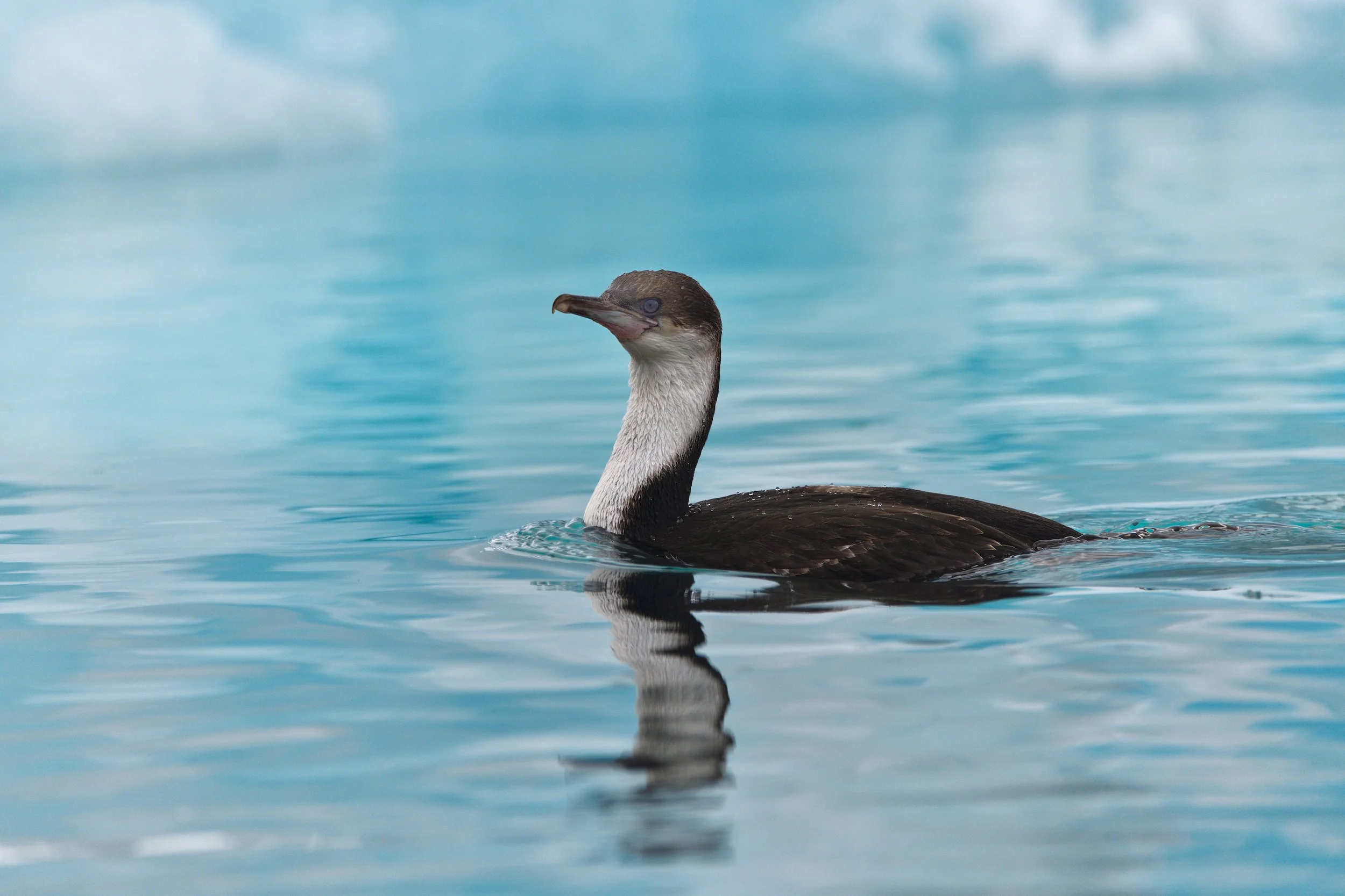 _SPL5728-topaz-sharpen_PS_CB copy 3.jpg